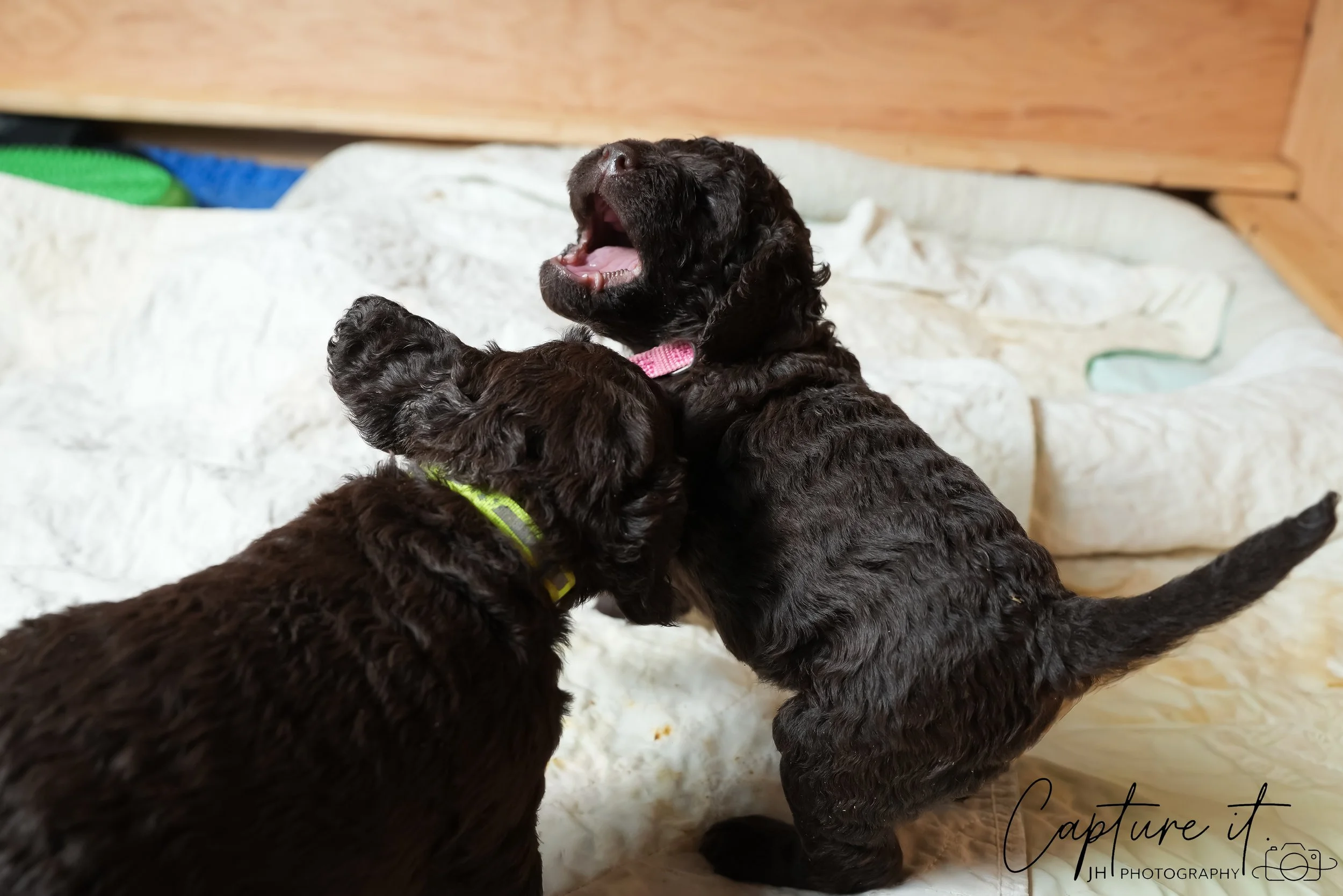 GALLERY CODE-RM#-22.jpg