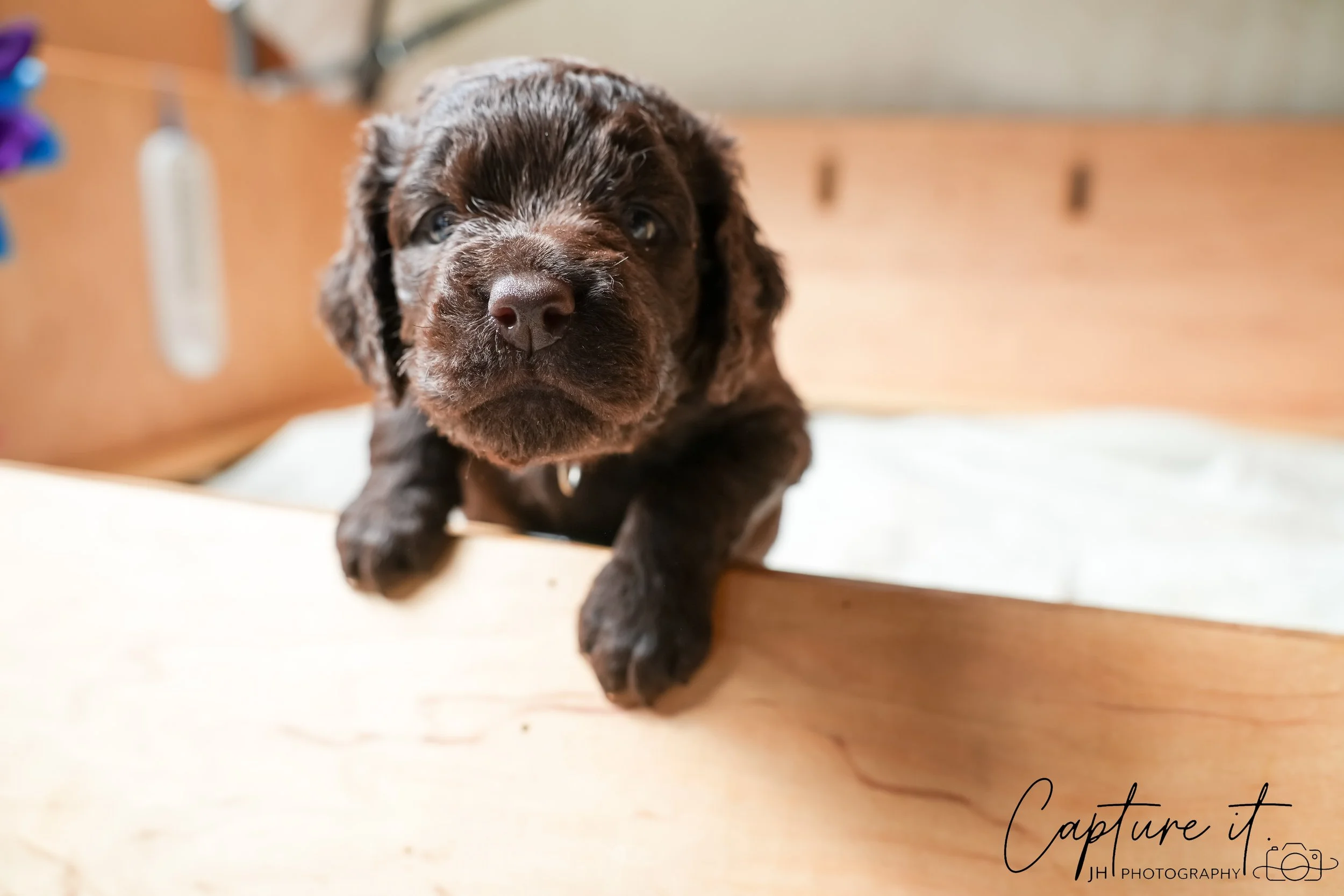 GALLERY CODE-RM#-23.jpg