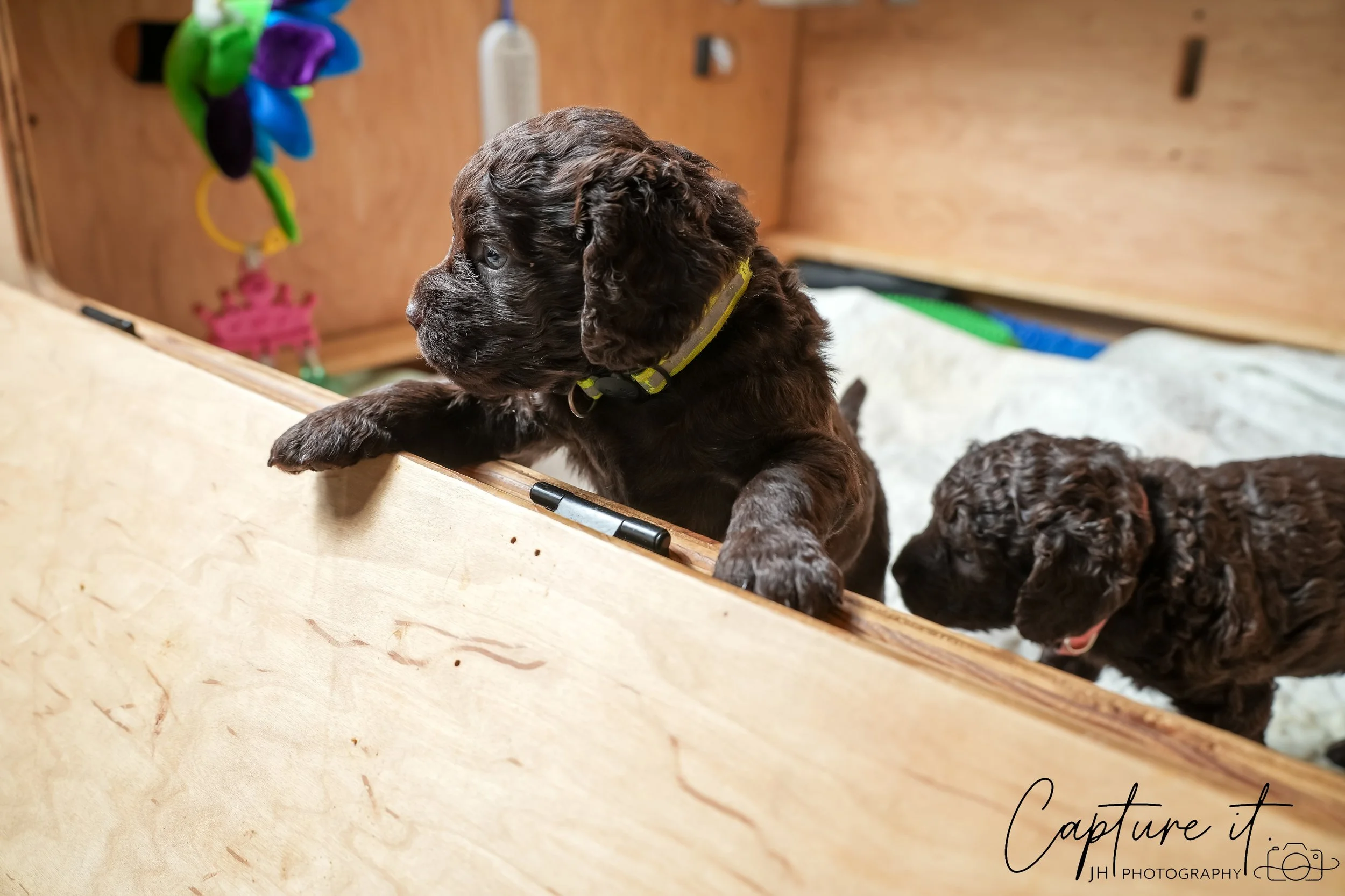 GALLERY CODE-RM#-24.jpg