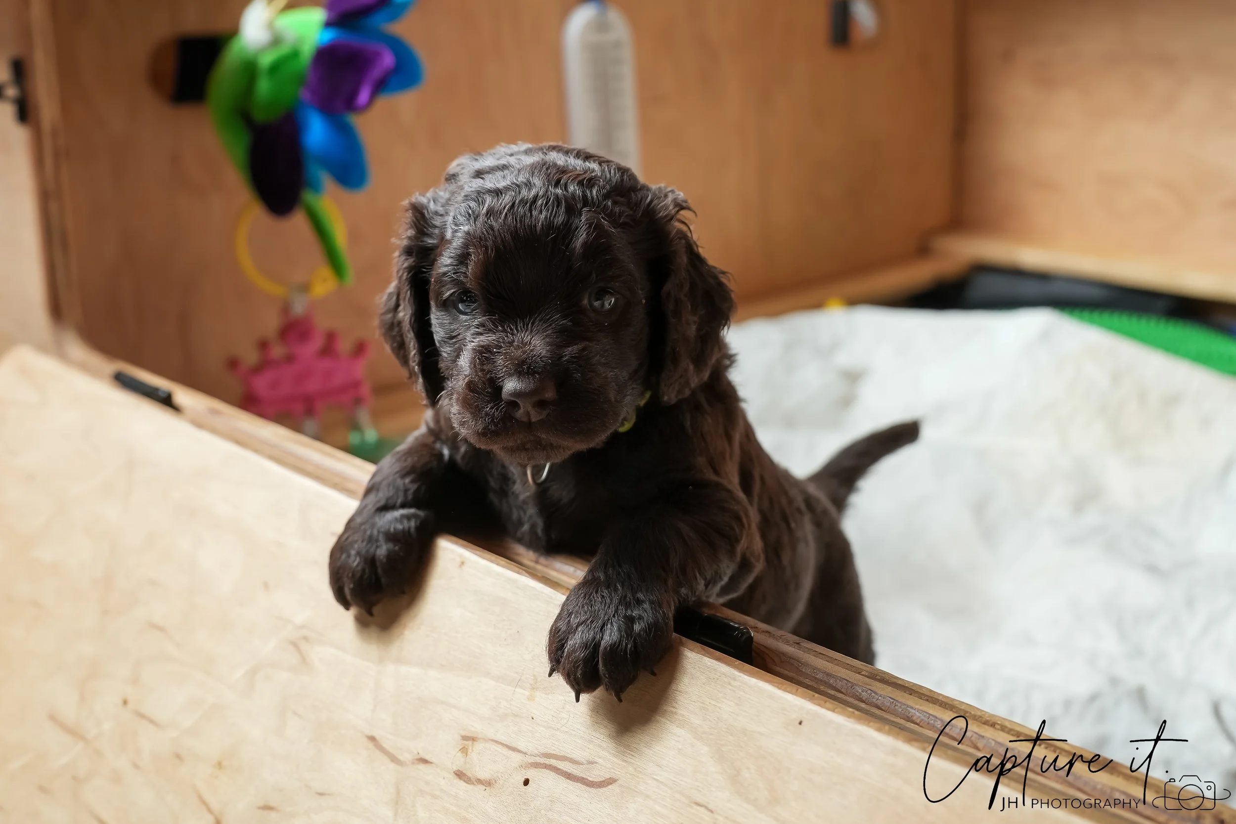 GALLERY CODE-RM#-25.jpg