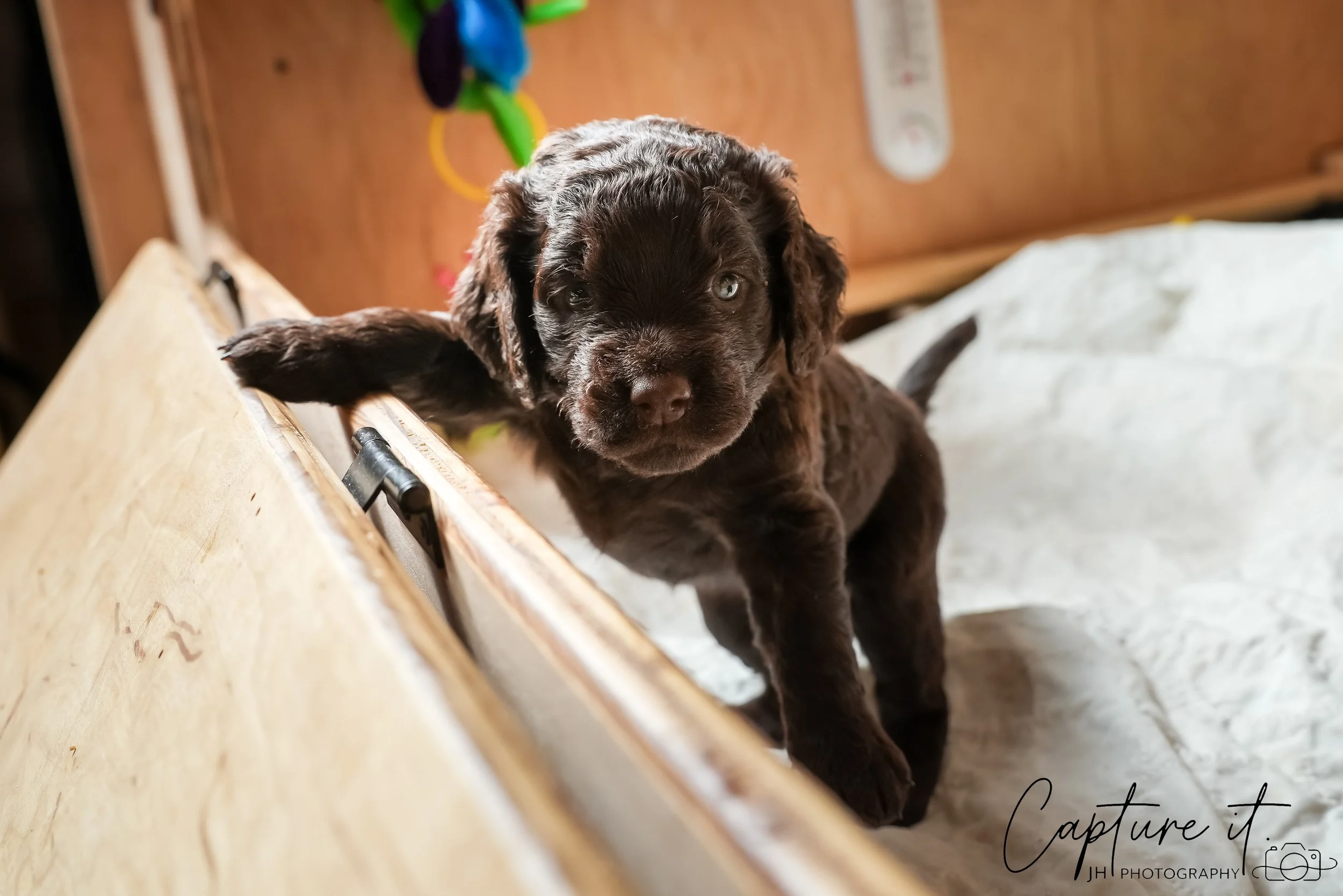 GALLERY CODE-RM#-26.jpg