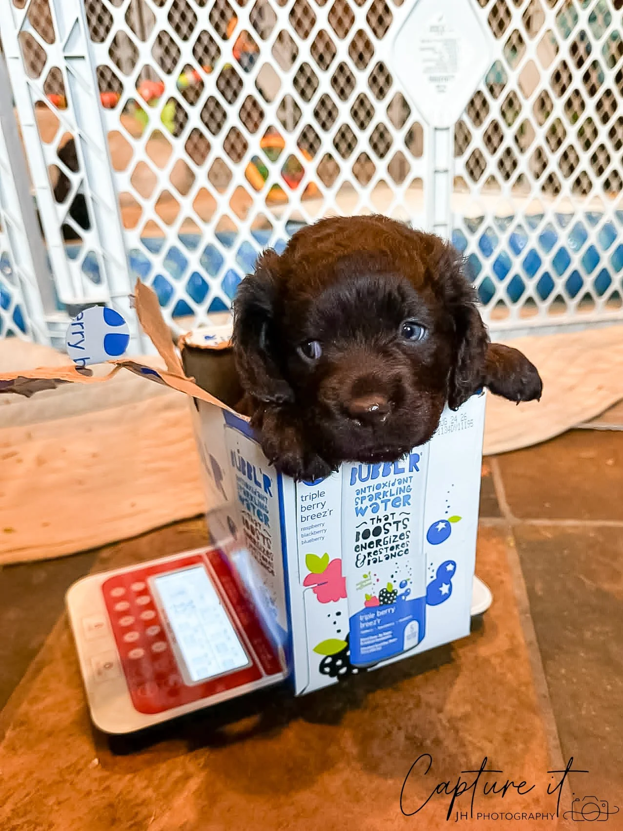 jsch0329wvrndmk - 418-02.jpg