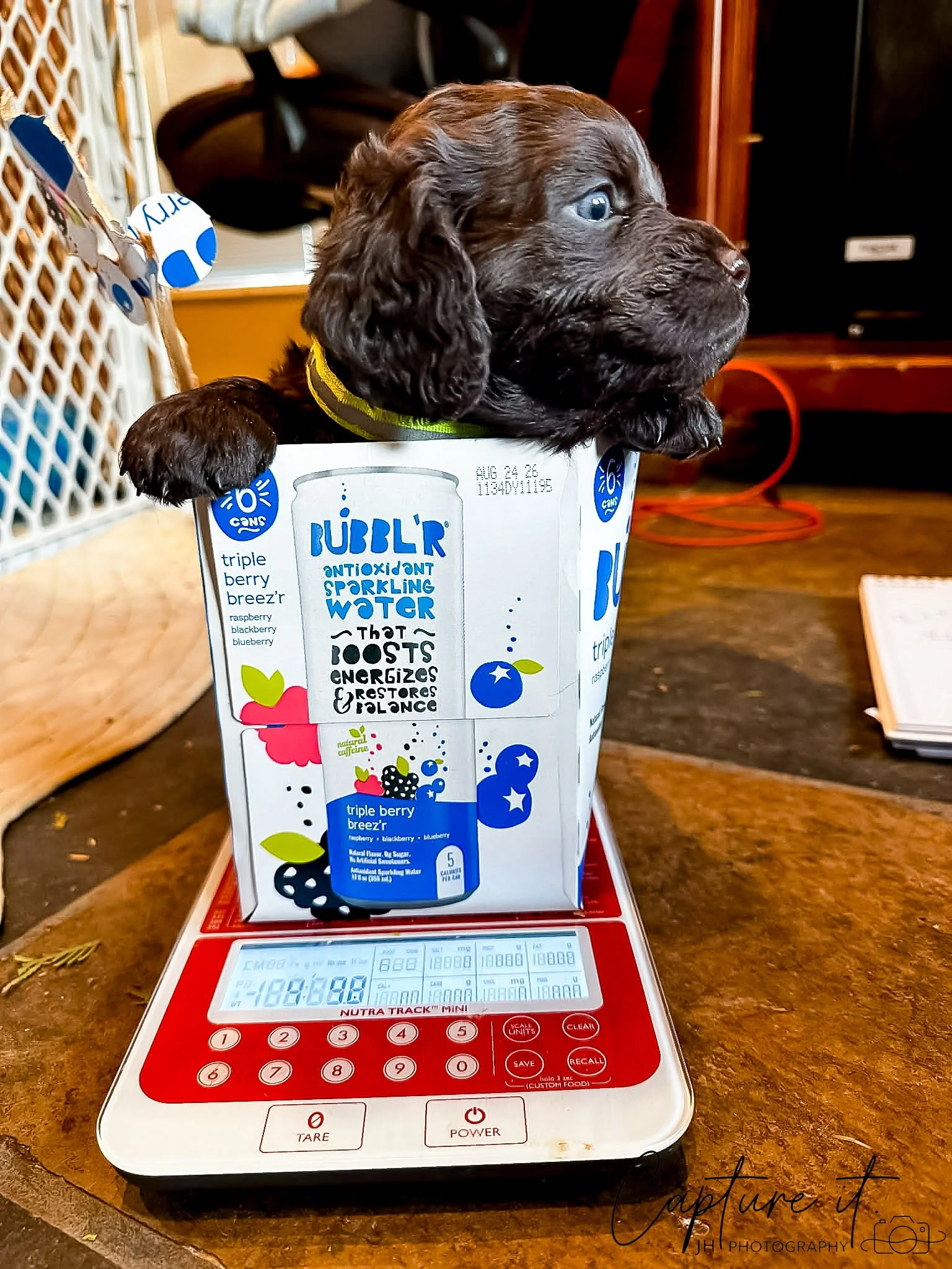 jsch0329wvrndmk - 418-03.jpg