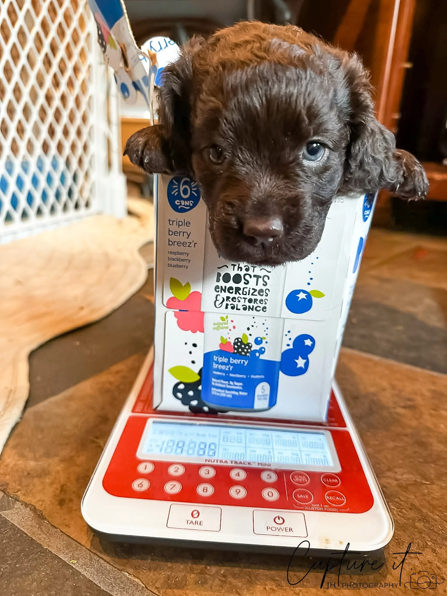 jsch0329wvrndmk - 418-04.jpg