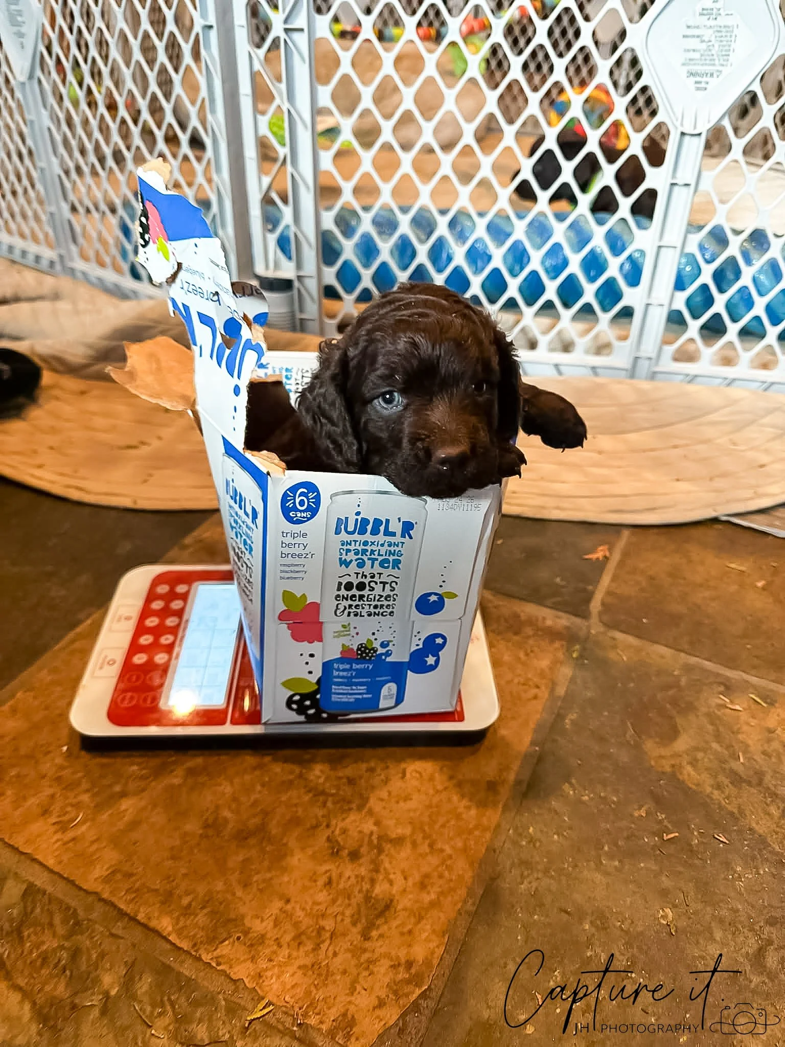 jsch0329wvrndmk - 418-05.jpg