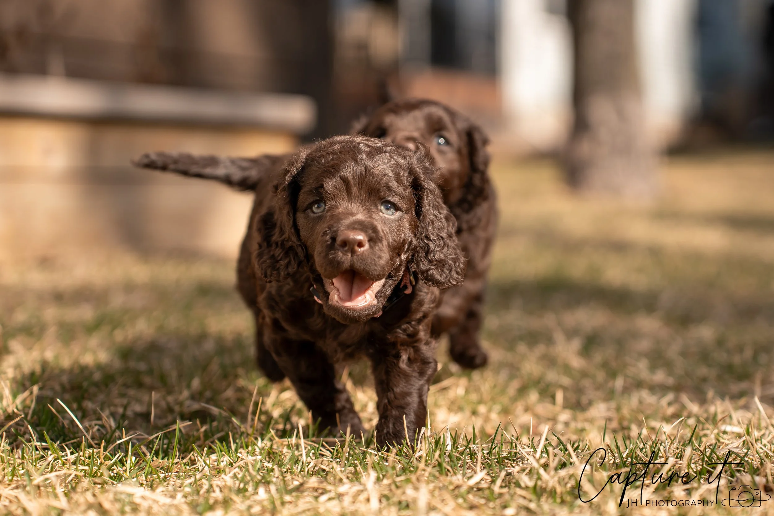 jsch0406nksvdcj - 404-02.jpg