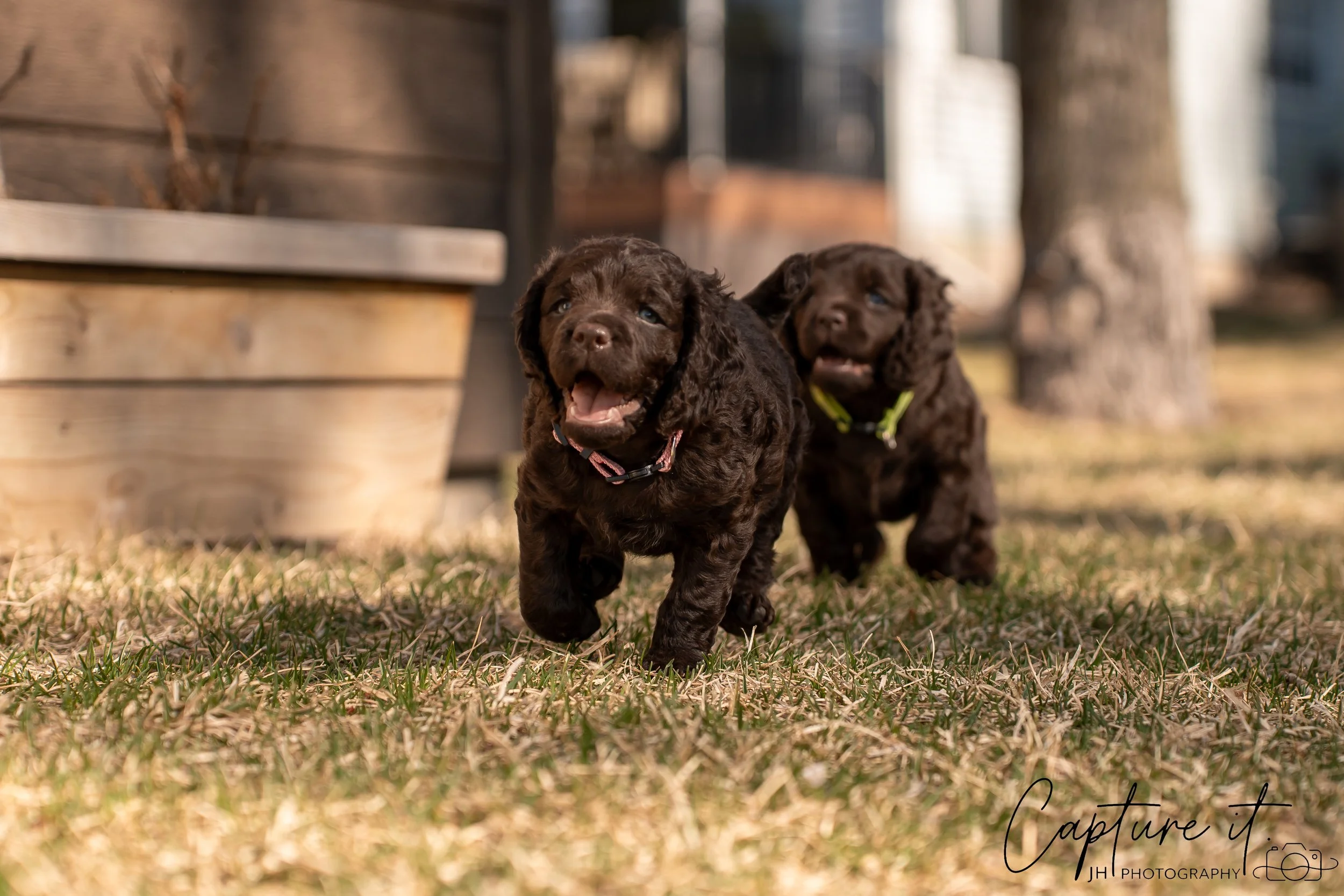 jsch0406nksvdcj - 404-01.jpg