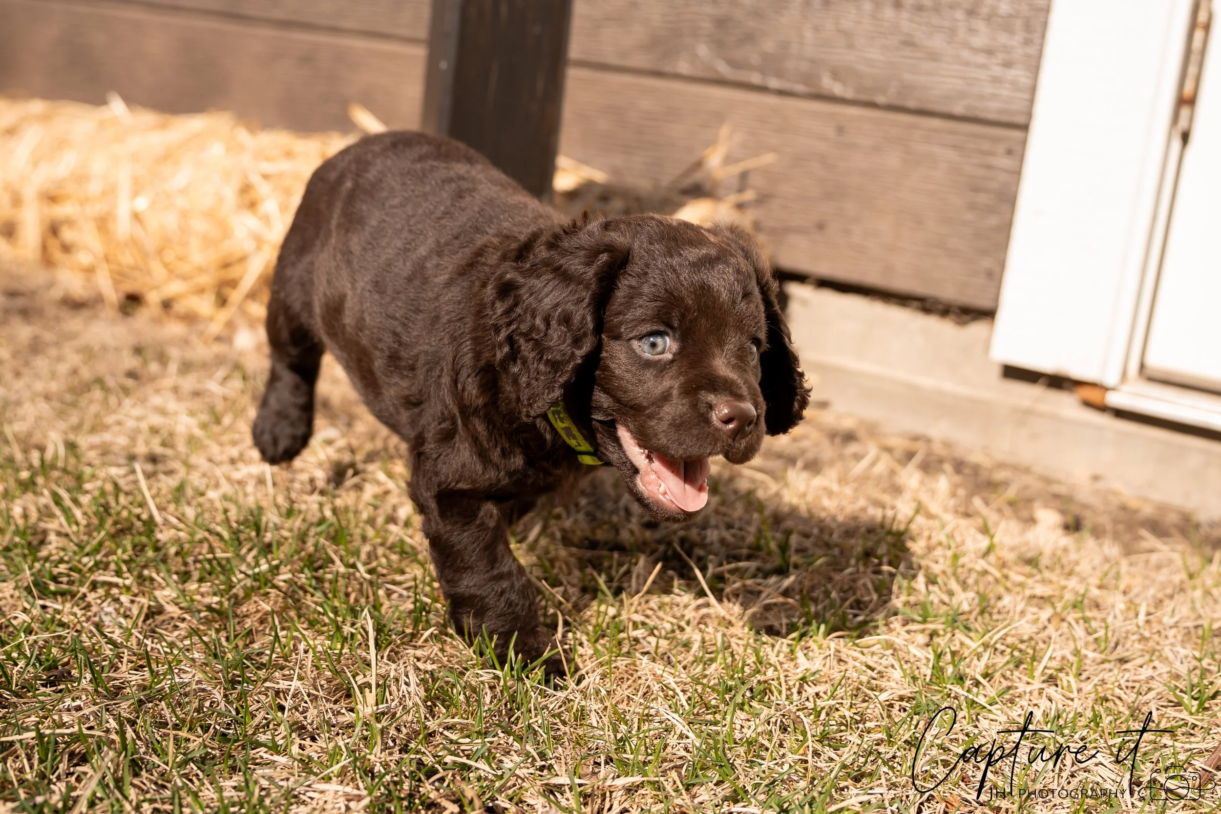 jsch0406nksvdcj - 404-03.jpg