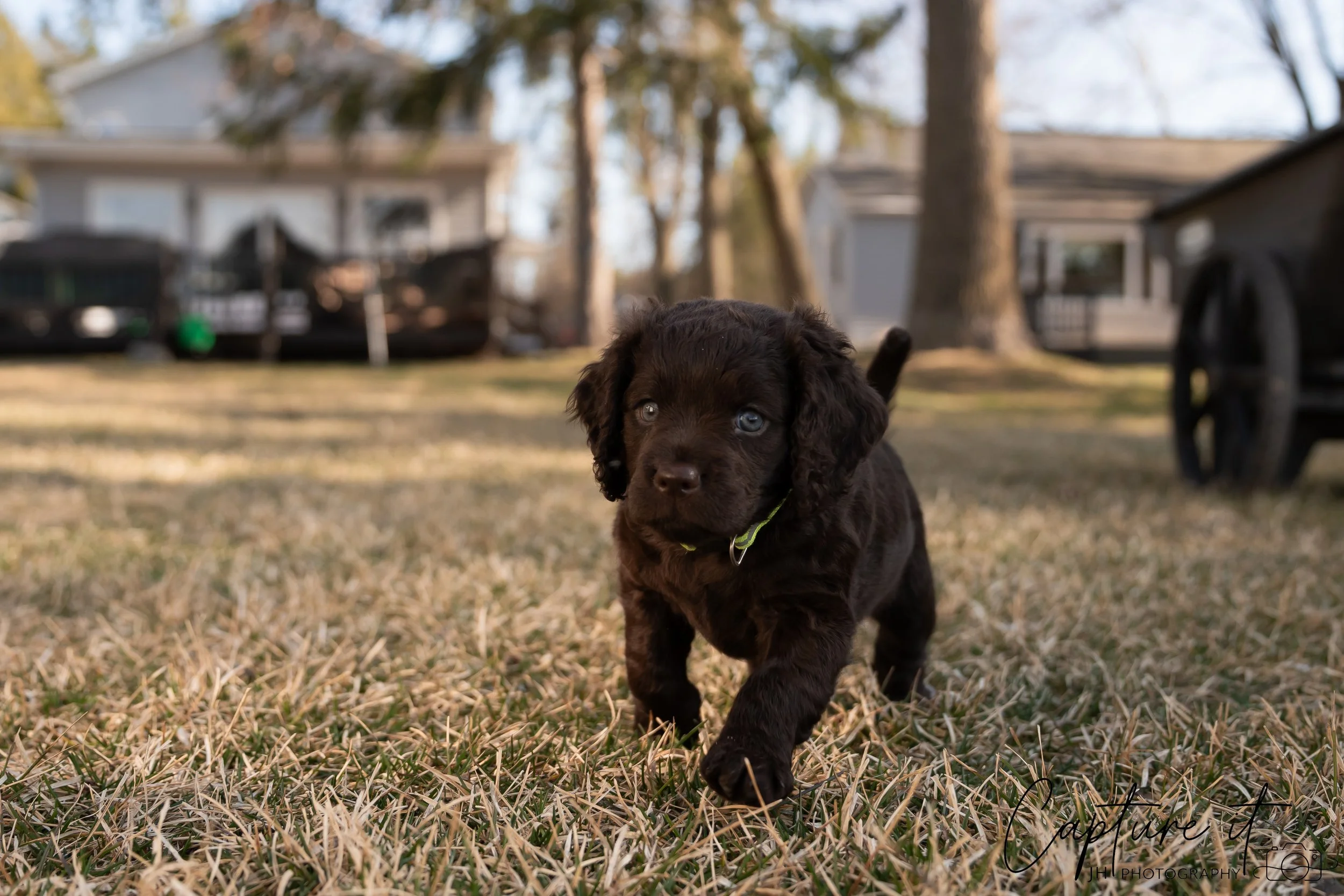 jsch0406nksvdcj - 404-04.jpg