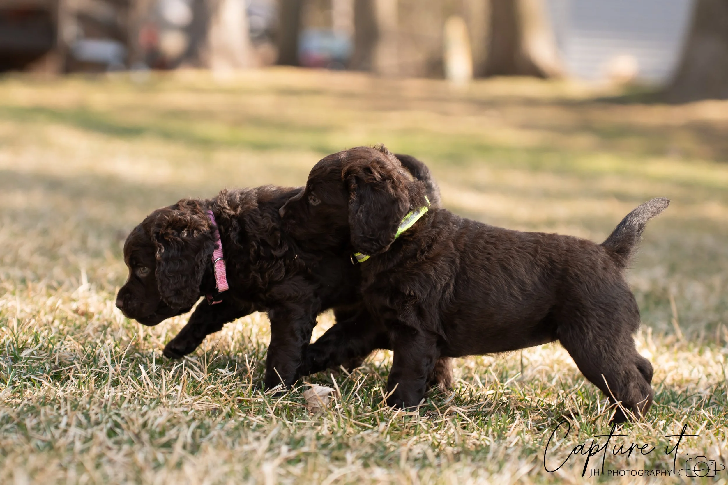 jsch0406nksvdcj - 404-05.jpg