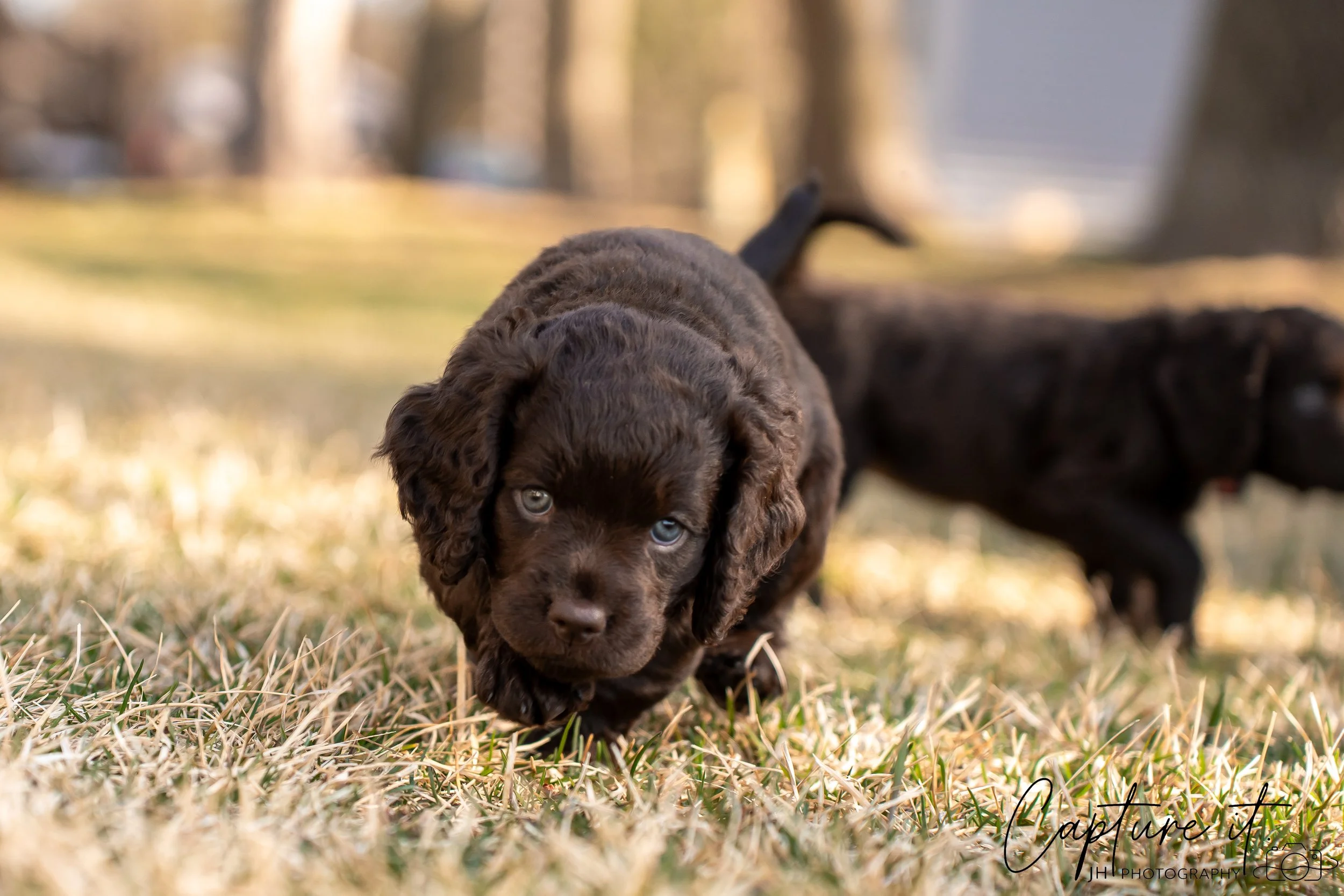 jsch0406nksvdcj - 404-06.jpg