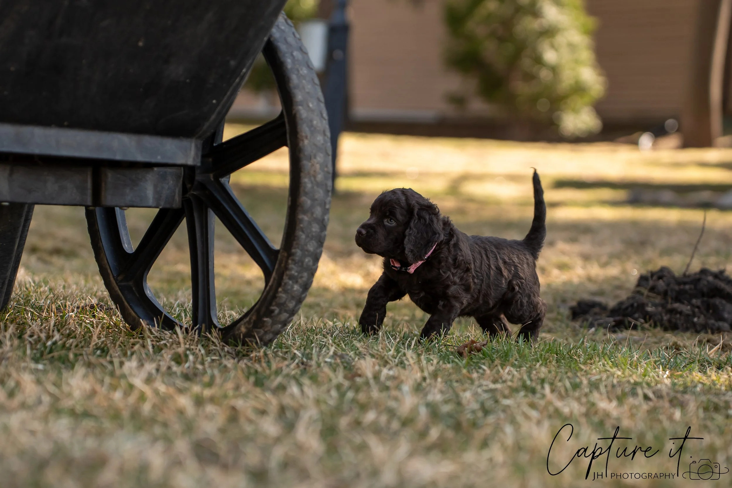 jsch0406nksvdcj - 404-07.jpg