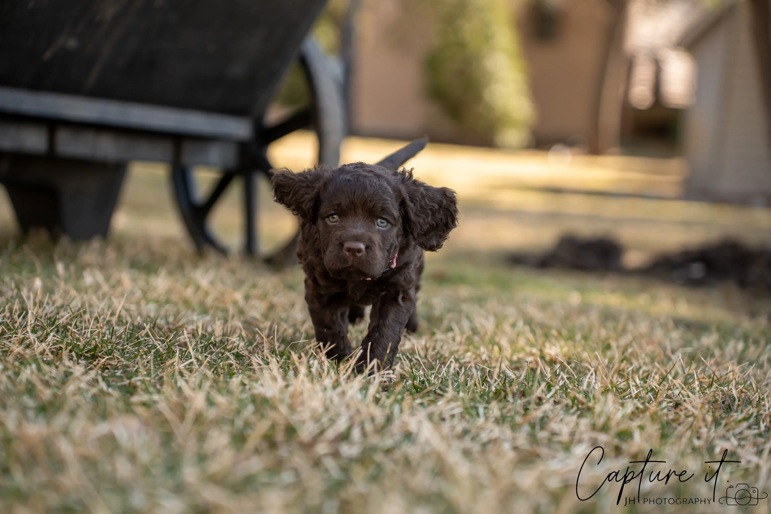 jsch0406nksvdcj - 404-09.jpg