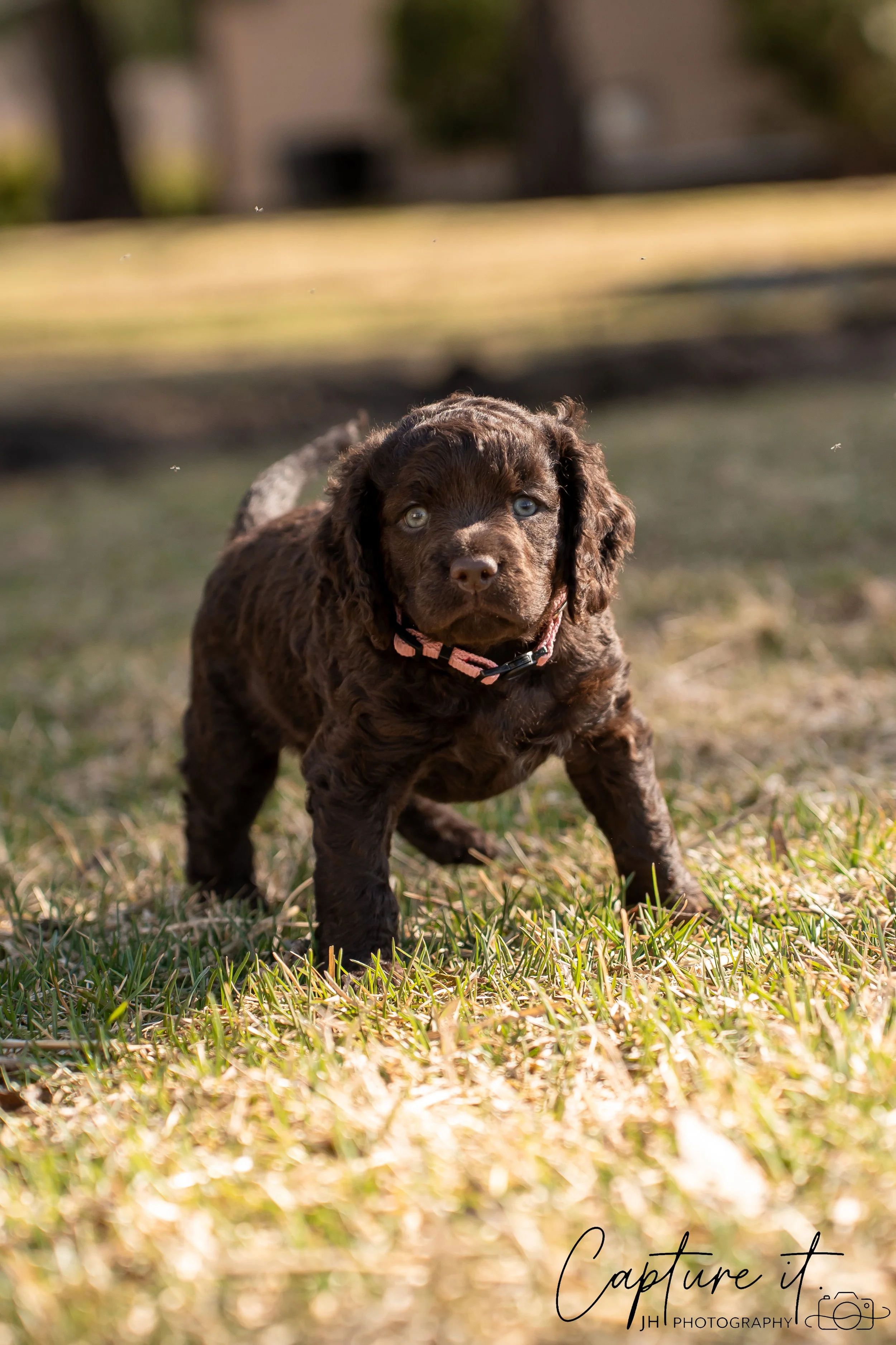 jsch0406nksvdcj - 404-10.jpg