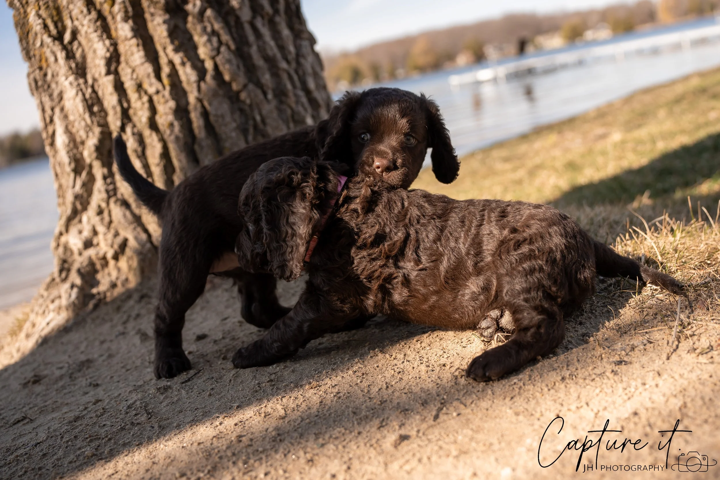 jsch0406nksvdcj - 404-11.jpg