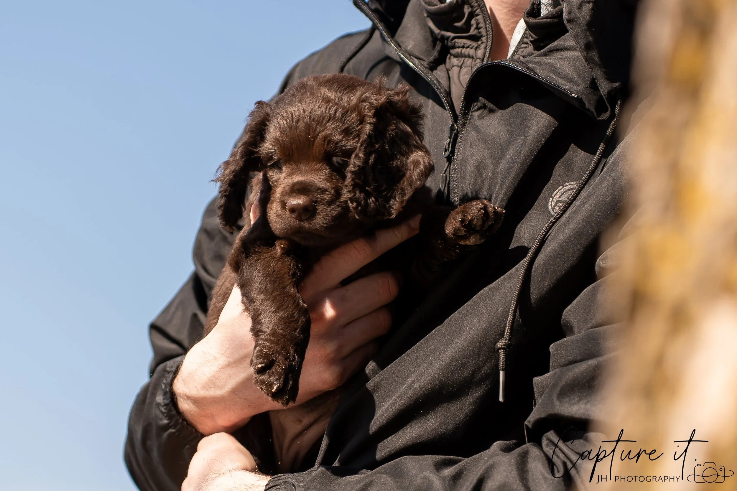 jsch0406nksvdcj - 404-13.jpg