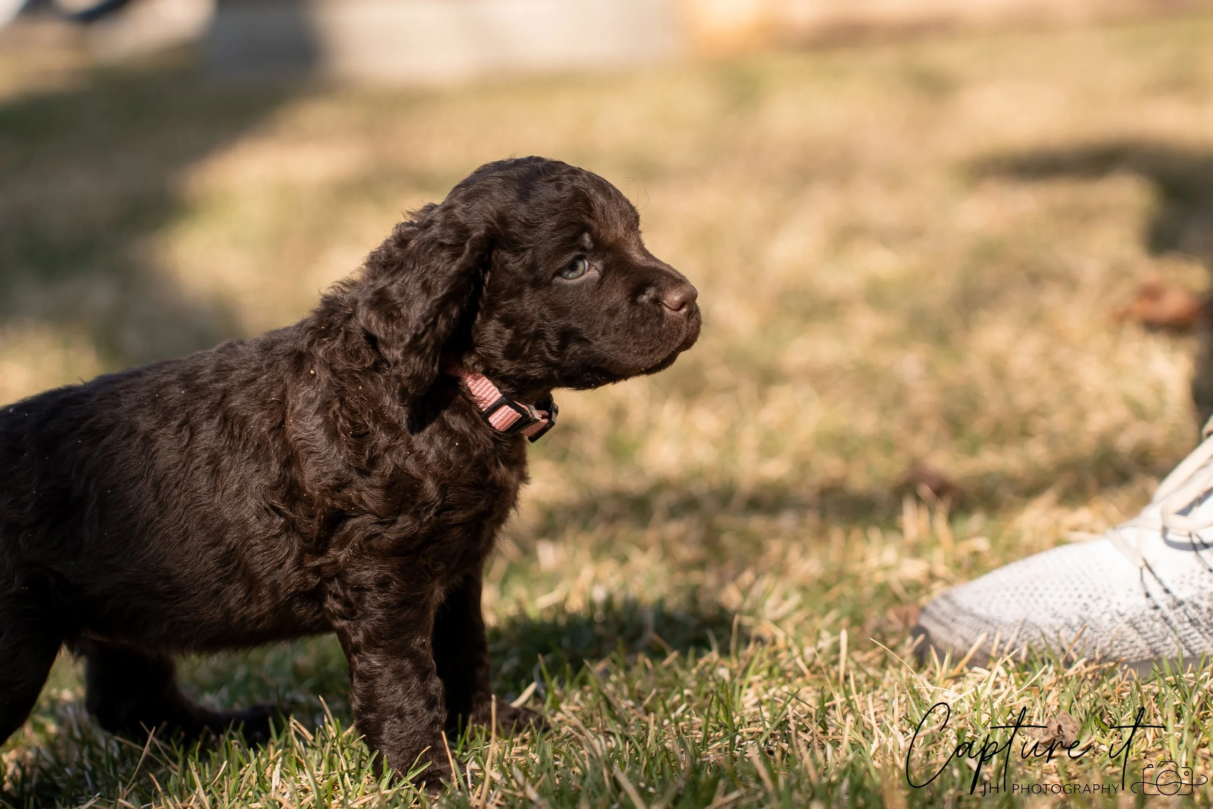 jsch0406nksvdcj - 404-12.jpg