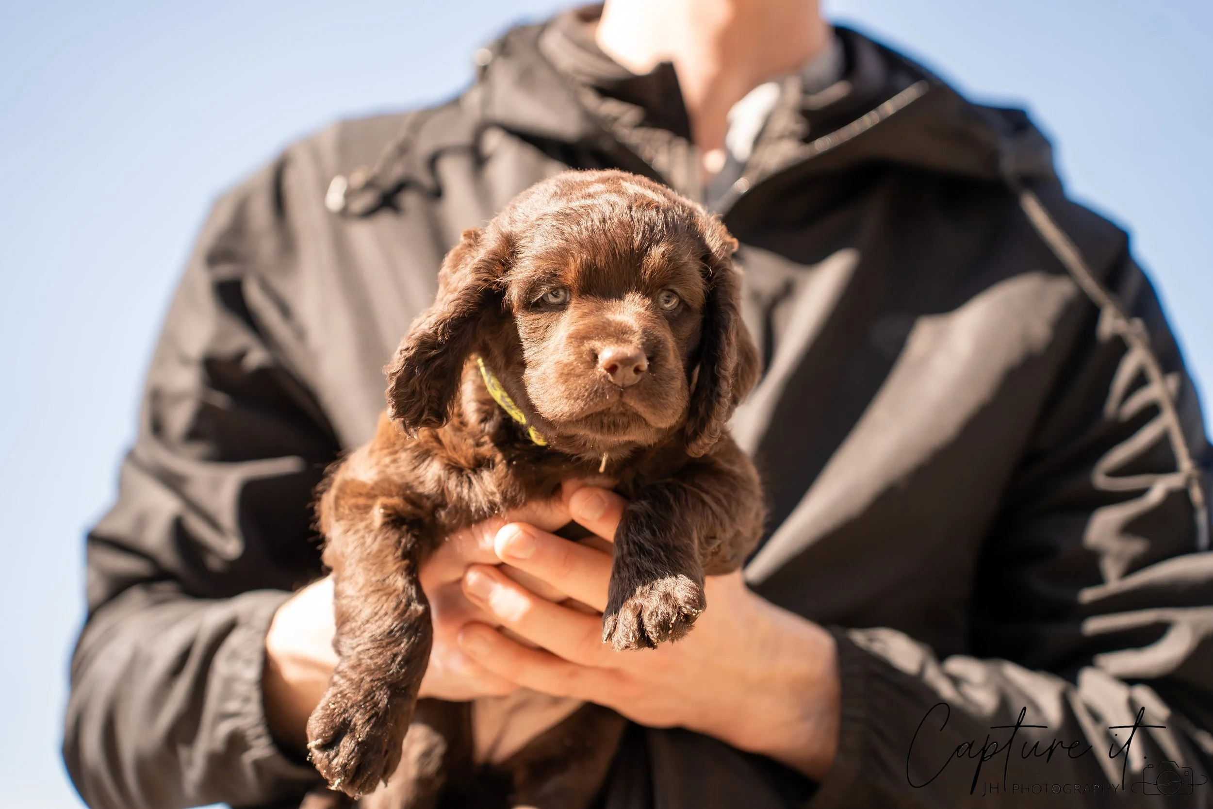 jsch0406nksvdcj - 404-15.jpg