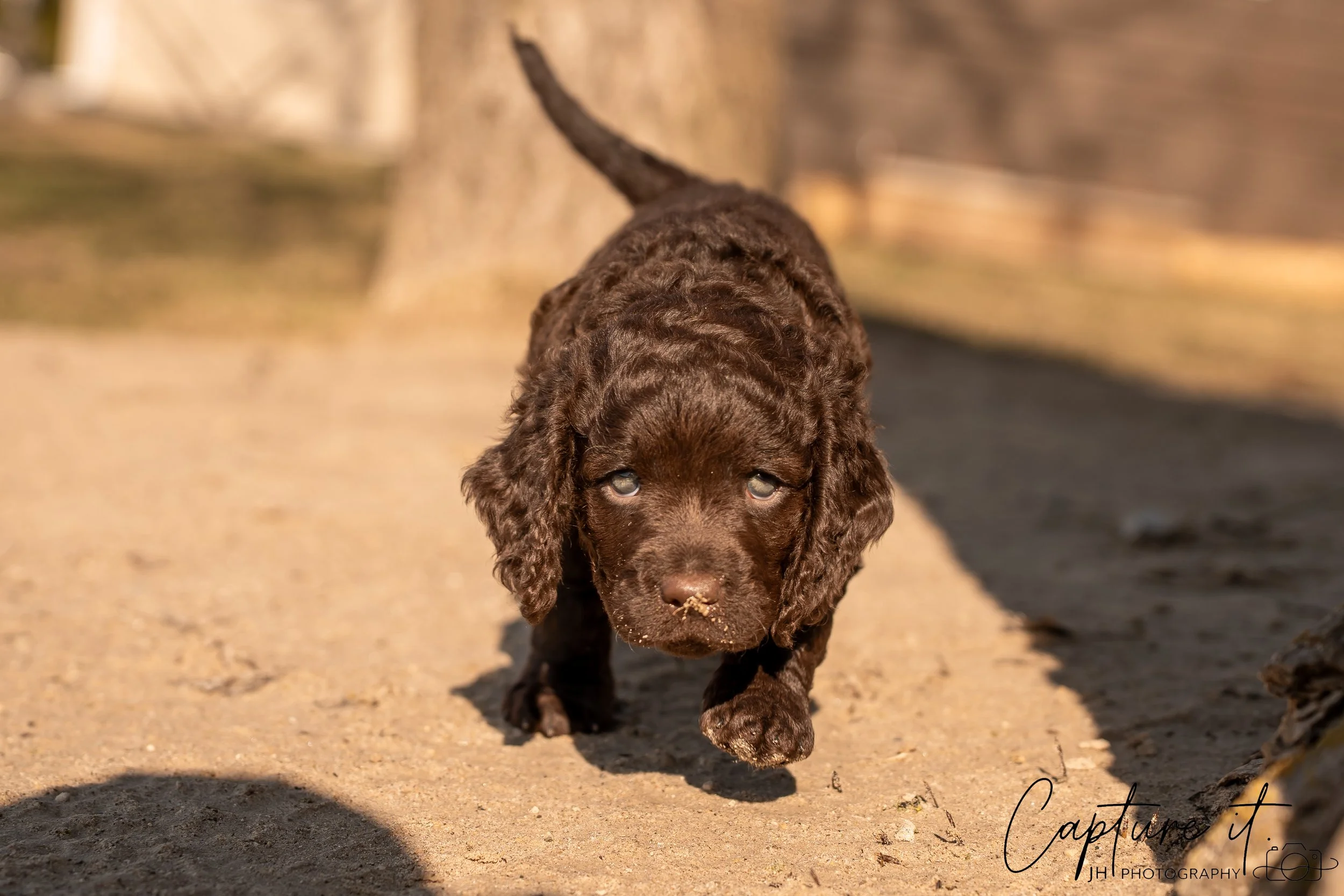 jsch0406nksvdcj - 404-18.jpg