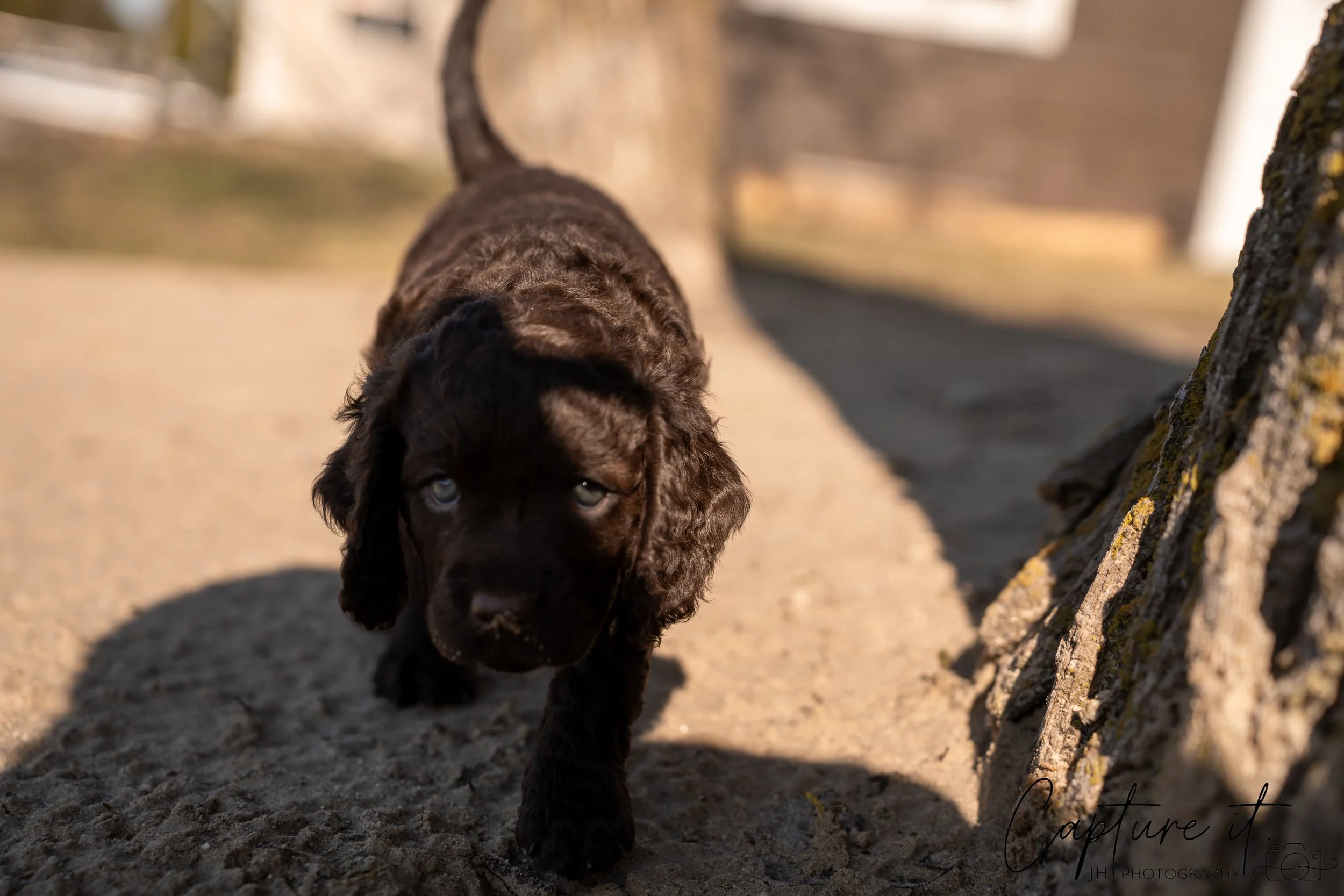 jsch0406nksvdcj - 404-19.jpg