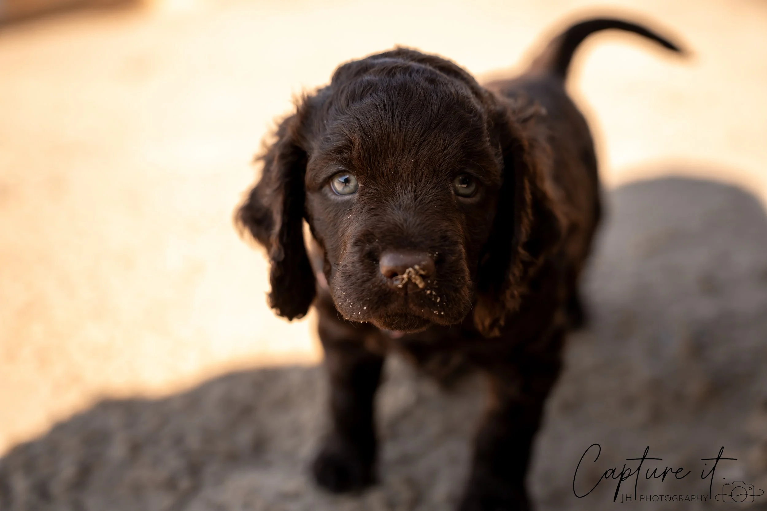 jsch0406nksvdcj - 404-20.jpg