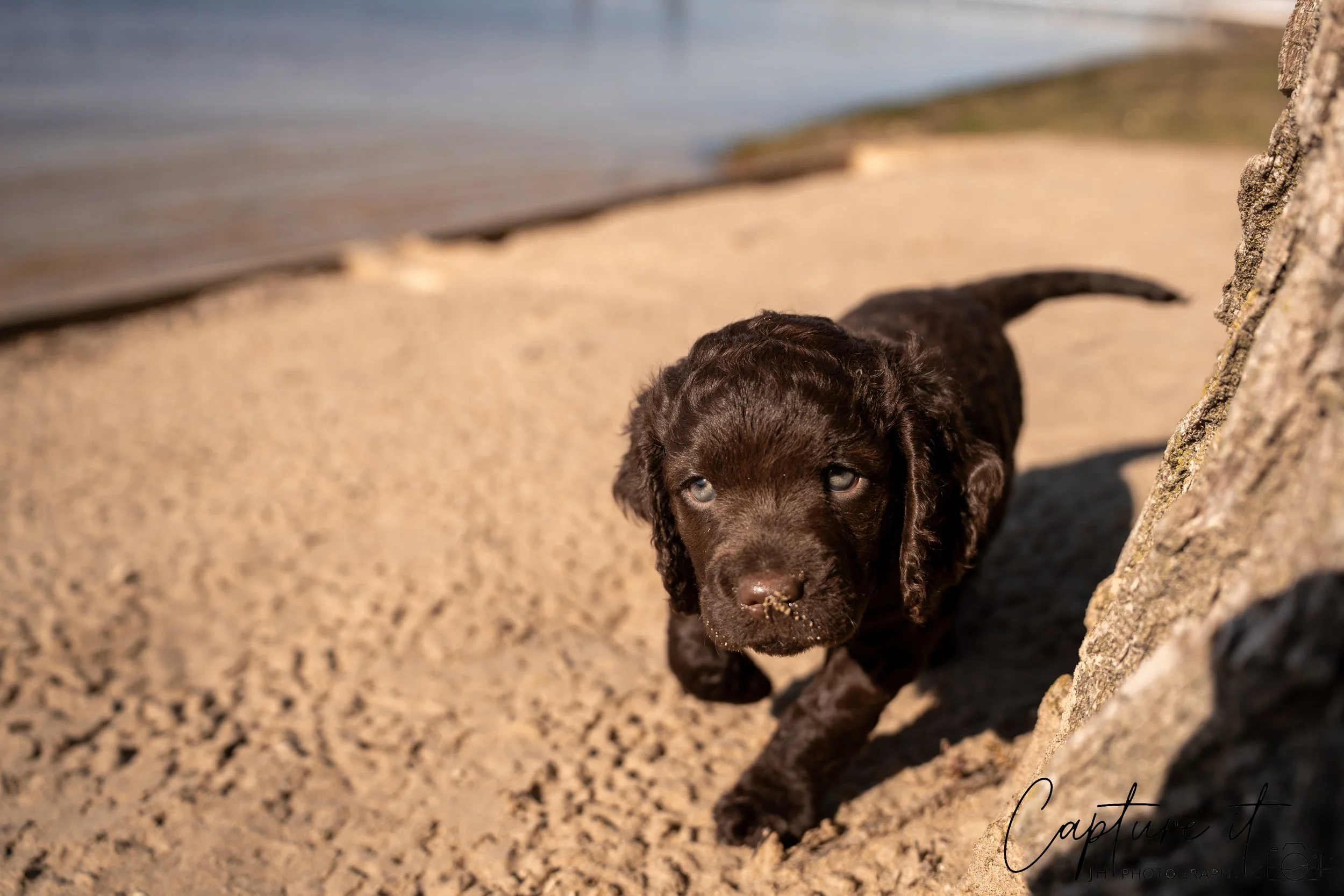 jsch0406nksvdcj - 404-21.jpg