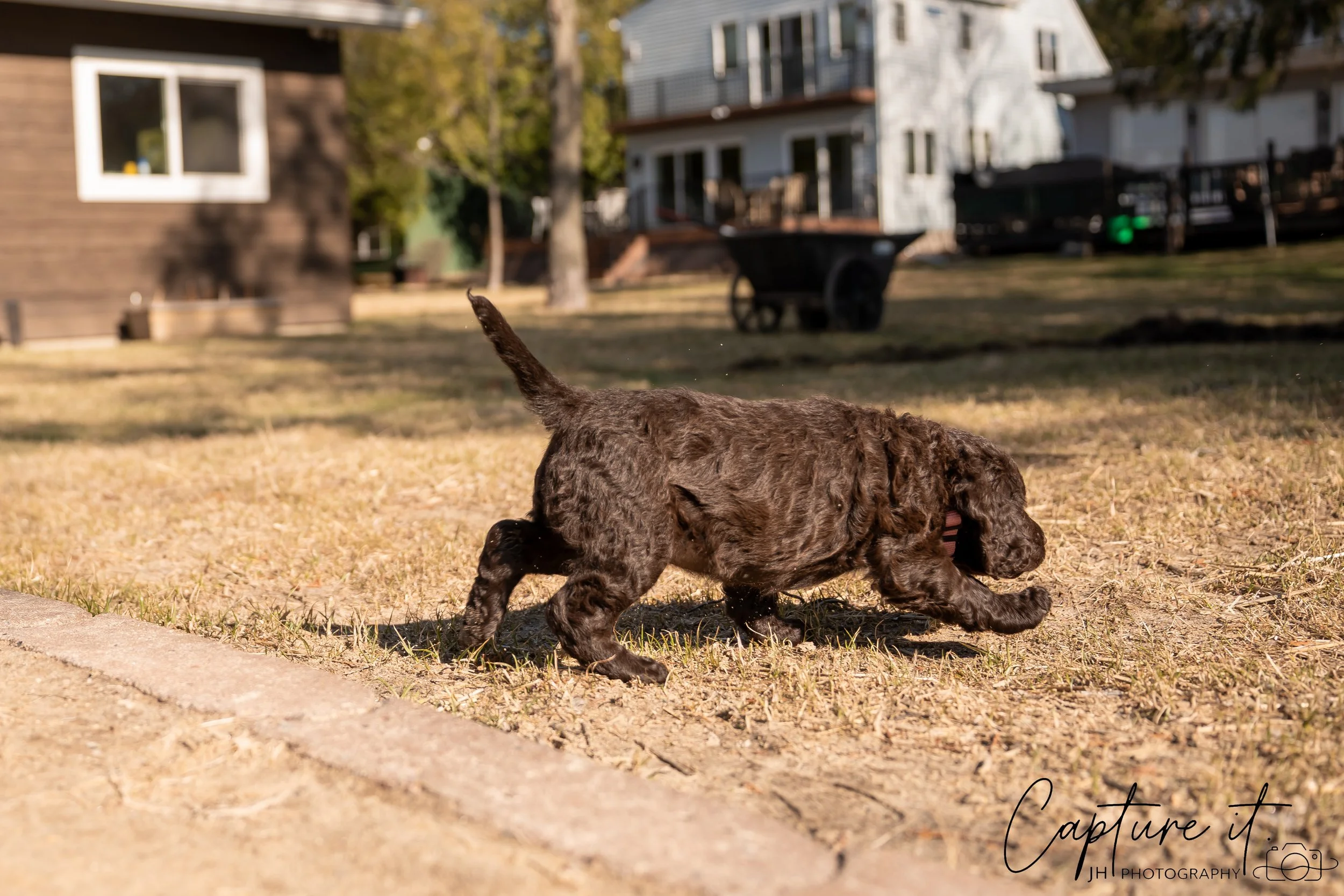 jsch0406nksvdcj - 404-22.jpg