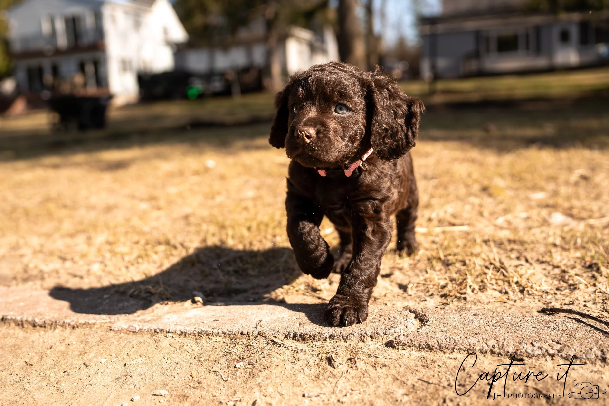 jsch0406nksvdcj - 404-23.jpg