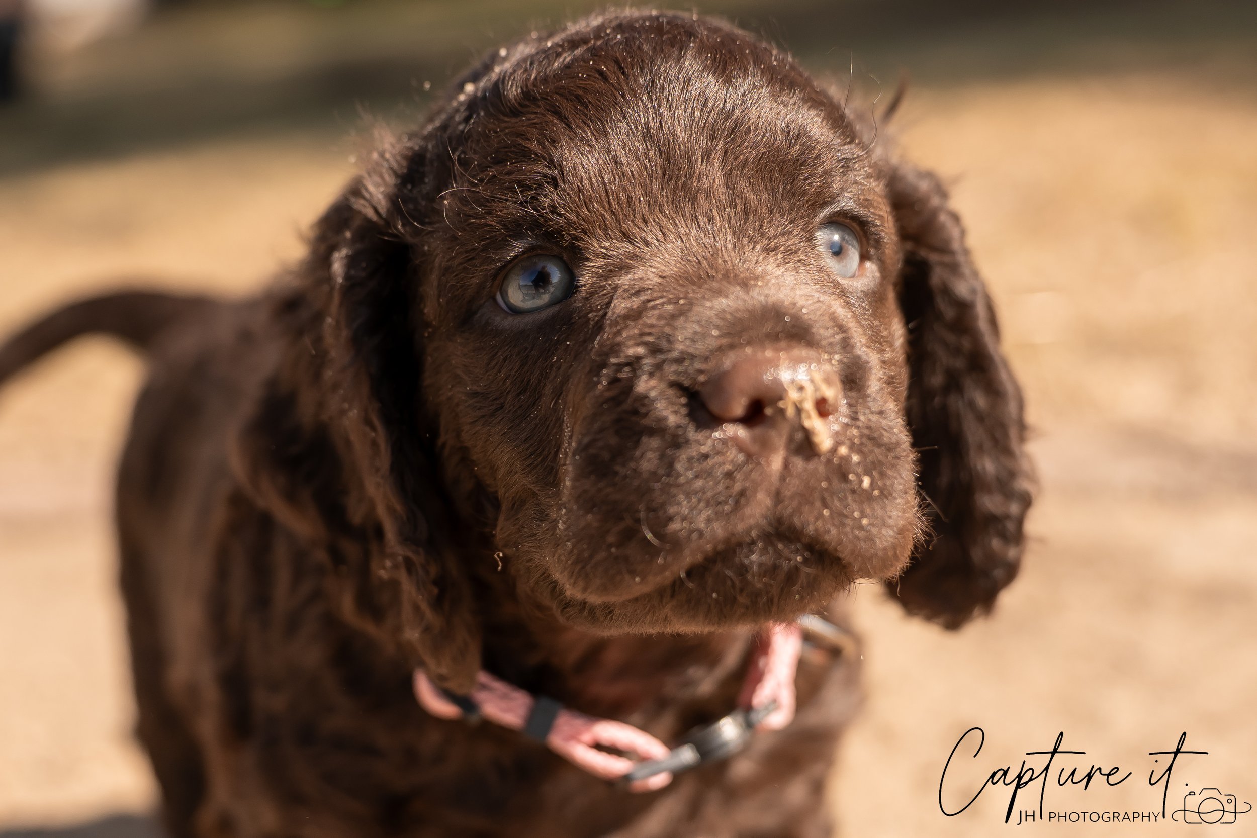 jsch0406nksvdcj - 404-24.jpg