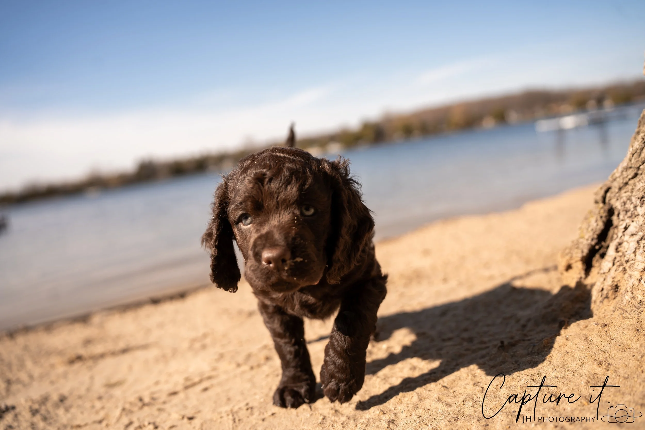 jsch0406nksvdcj - 404-25.jpg