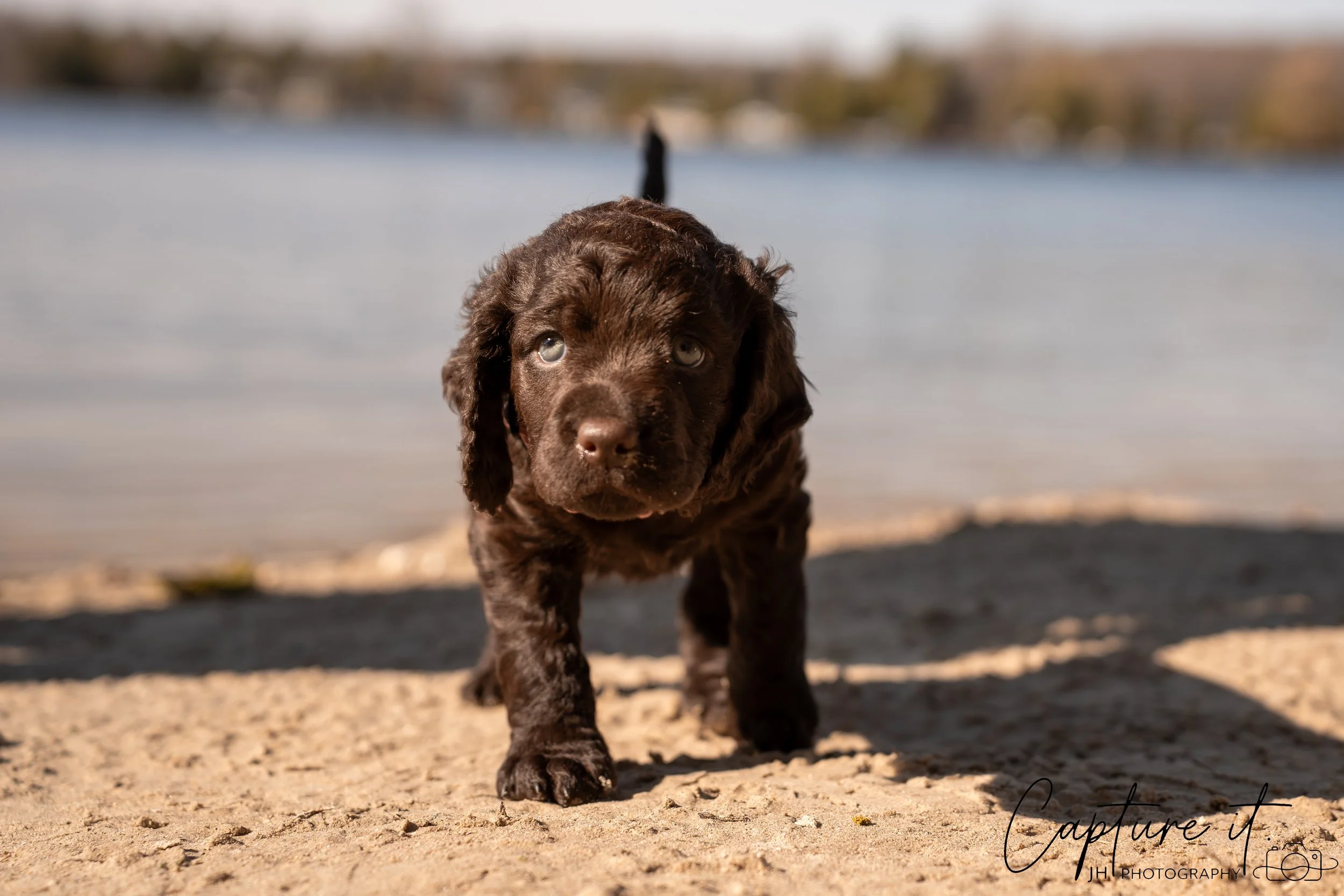 jsch0406nksvdcj - 404-27.jpg