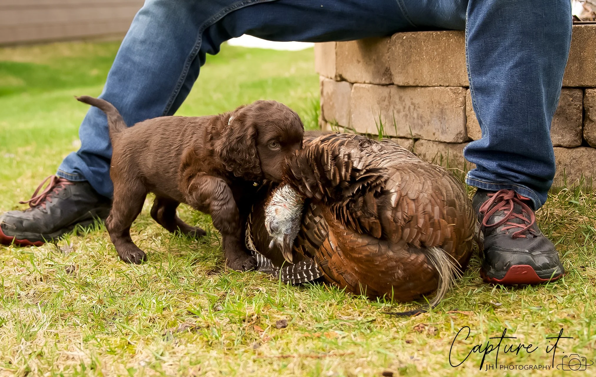 jsch0414hxnkgjf -410-02.jpg