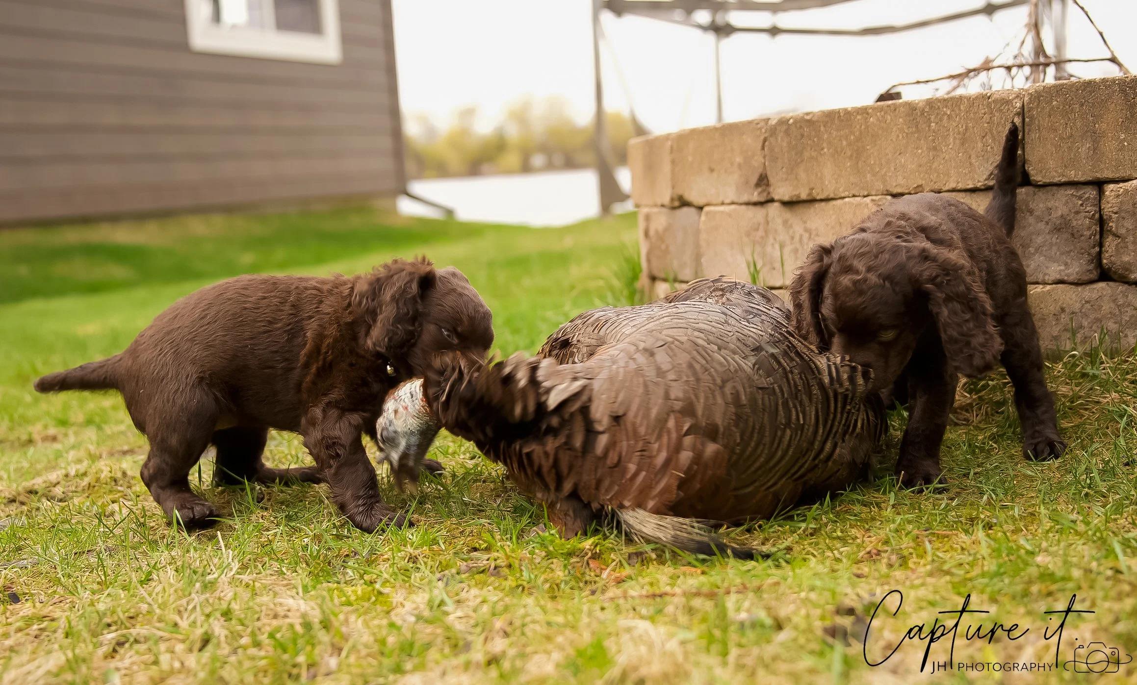 jsch0414hxnkgjf -410-03.jpg