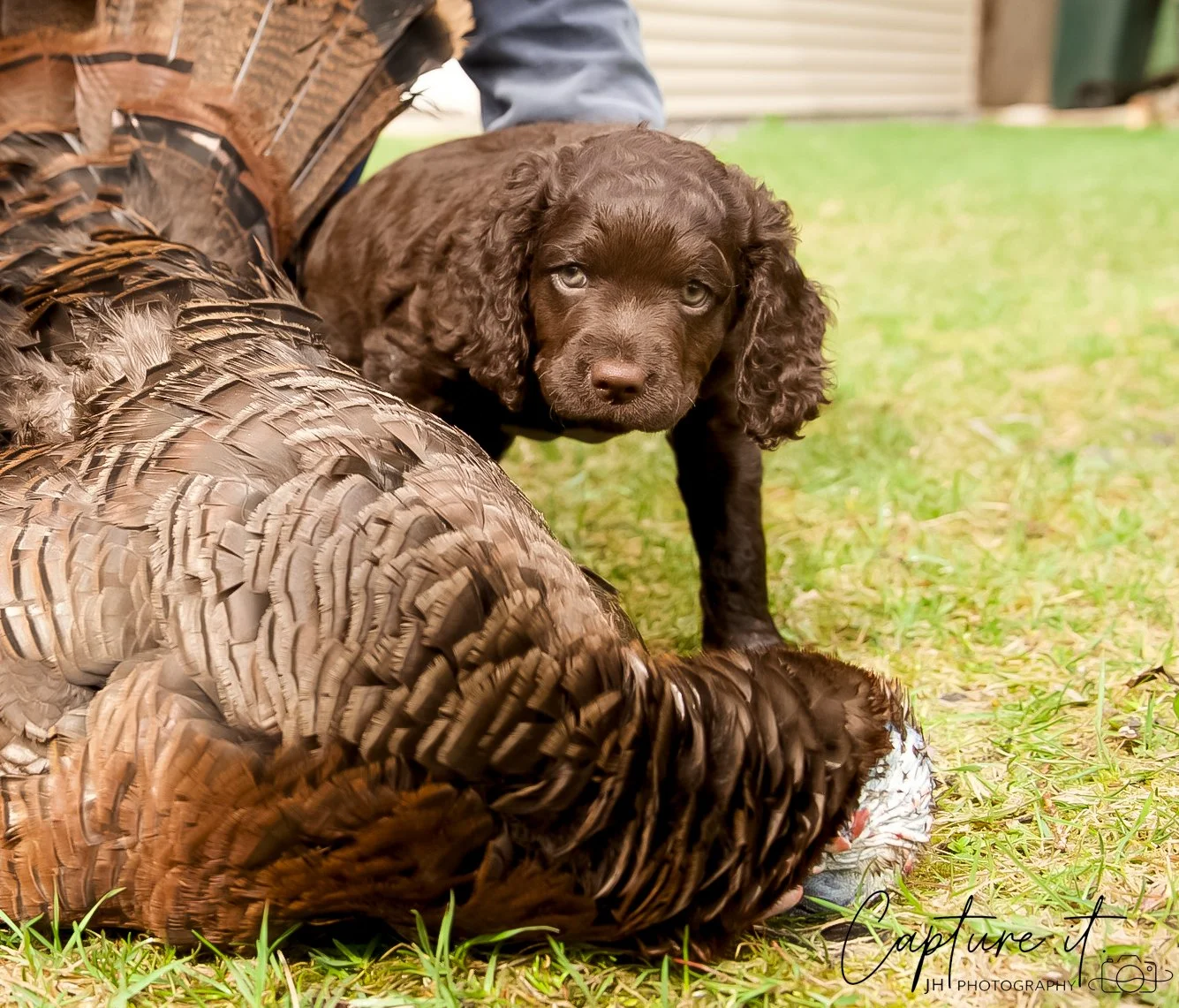 jsch0414hxnkgjf -410-05.jpg