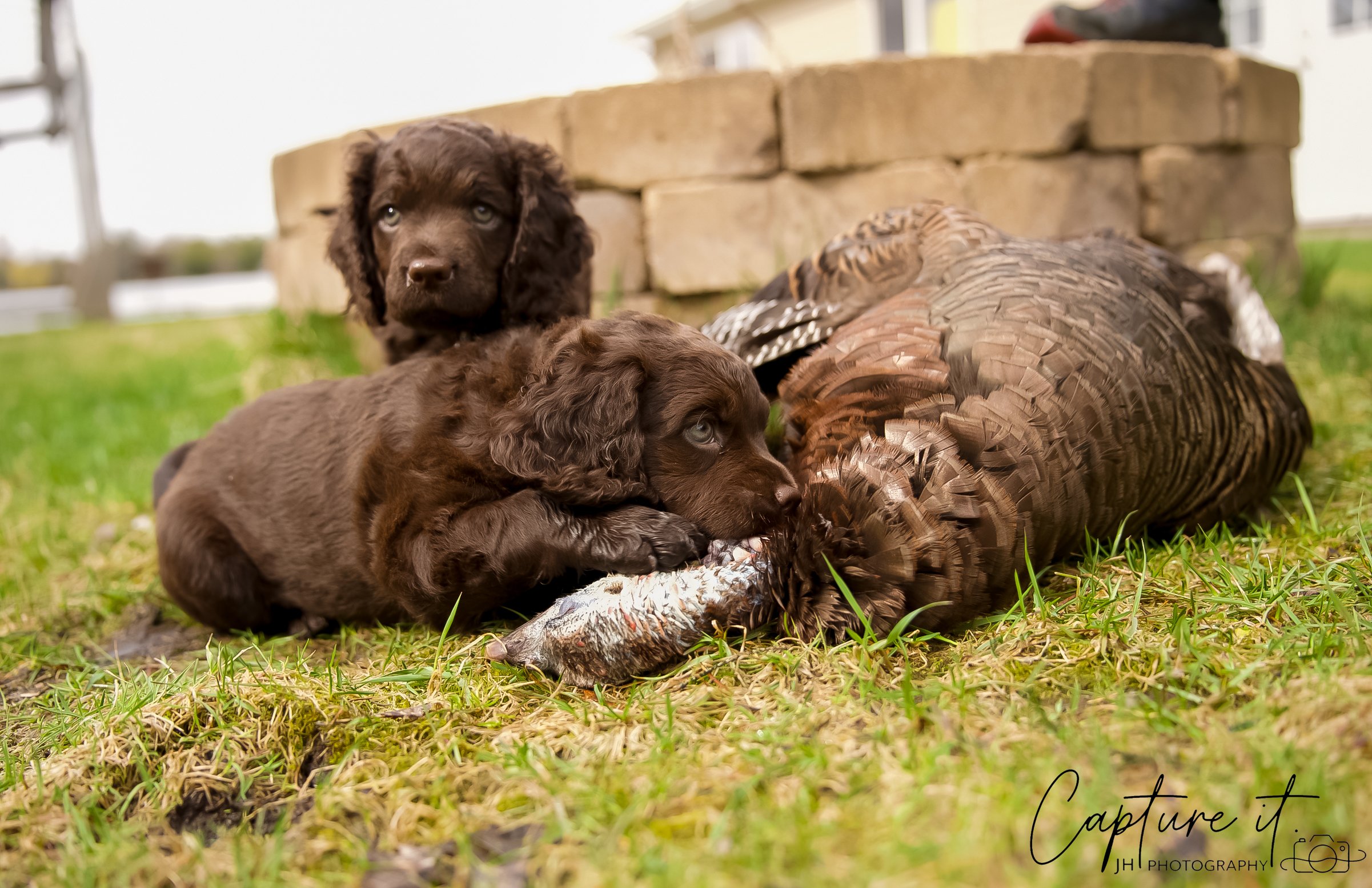 jsch0414hxnkgjf -410-04.jpg