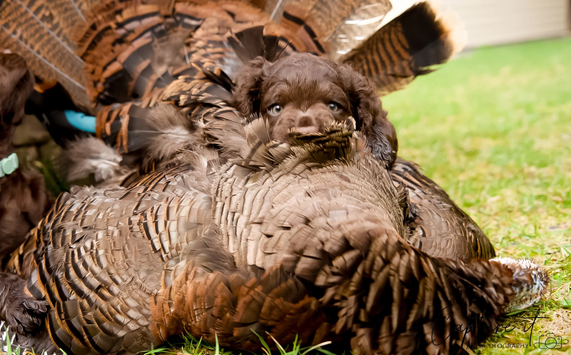 jsch0414hxnkgjf -410-07.jpg