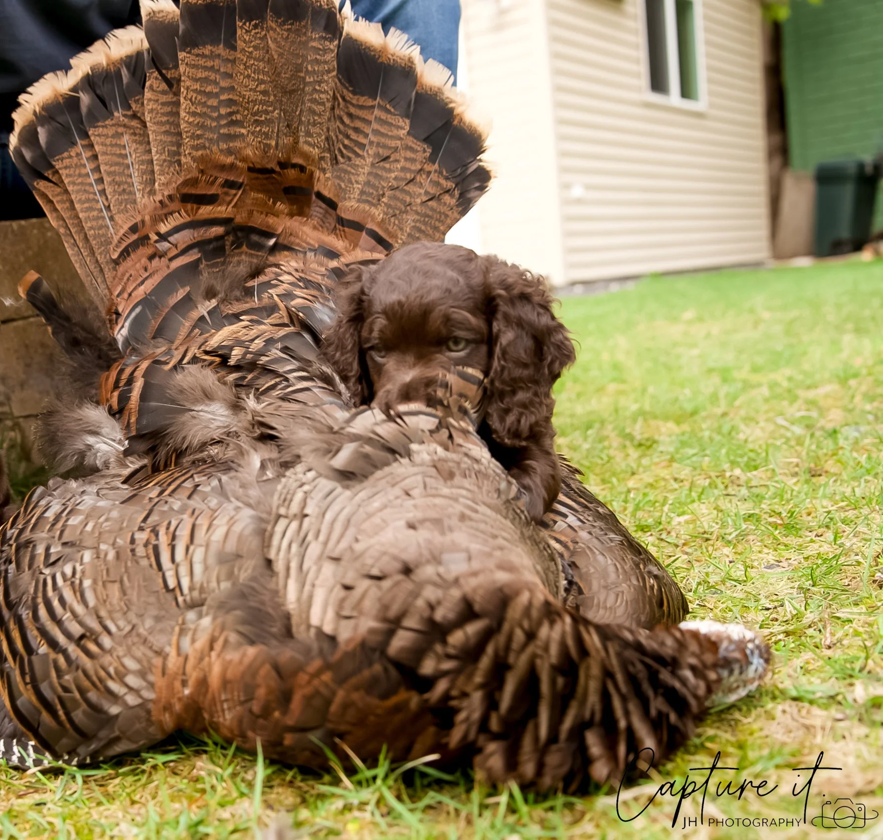 jsch0414hxnkgjf -410-08.jpg