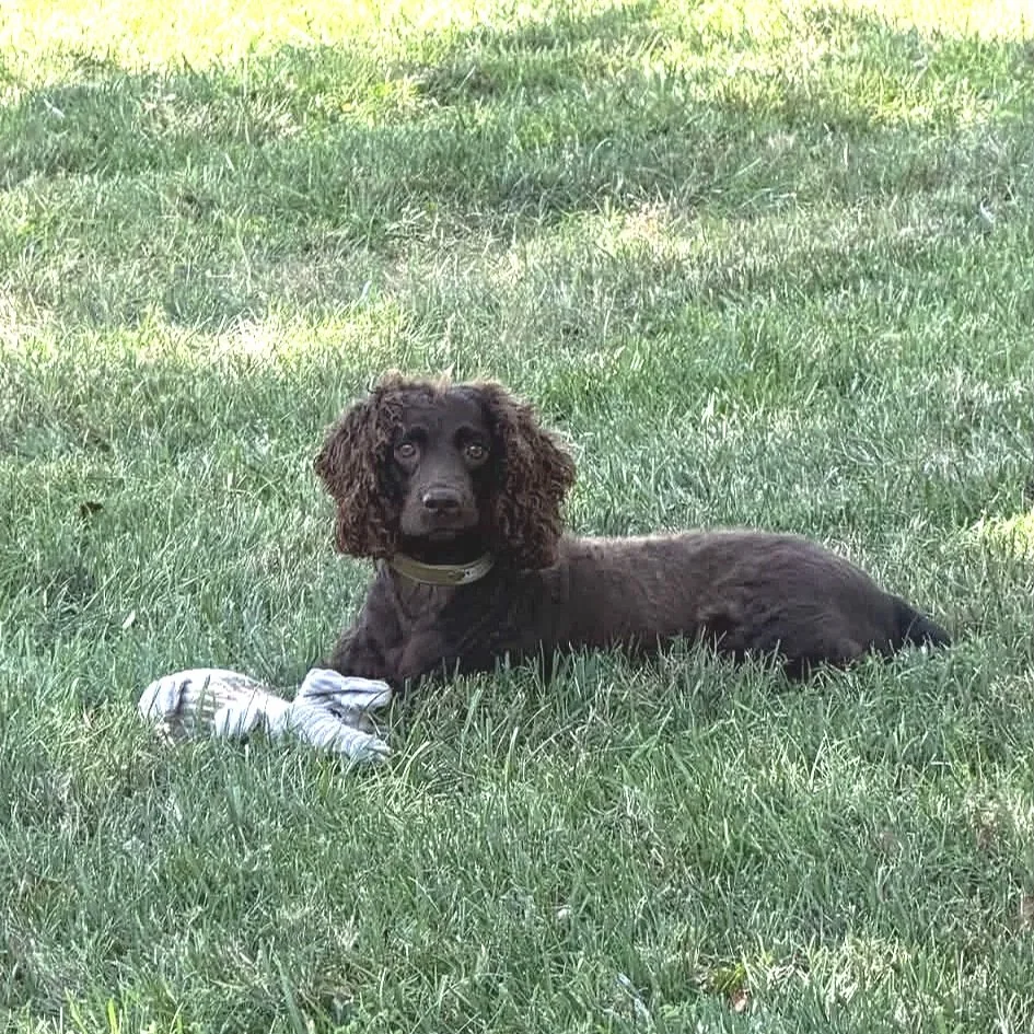 Did you  say my name? 