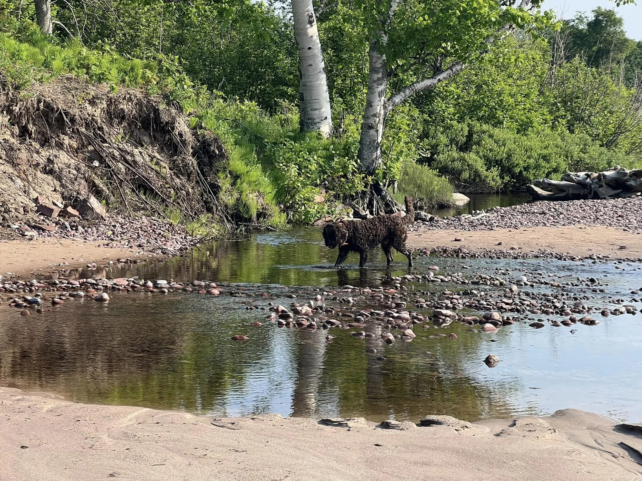 Fishing for minnows