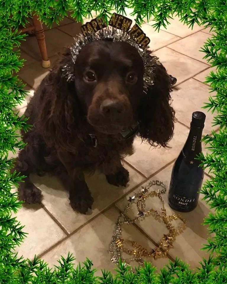 Happy New Year !!