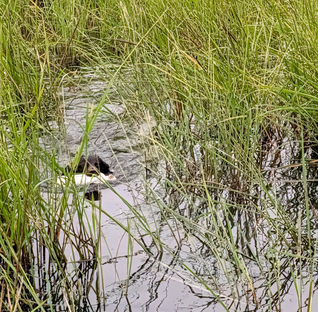 Water work 