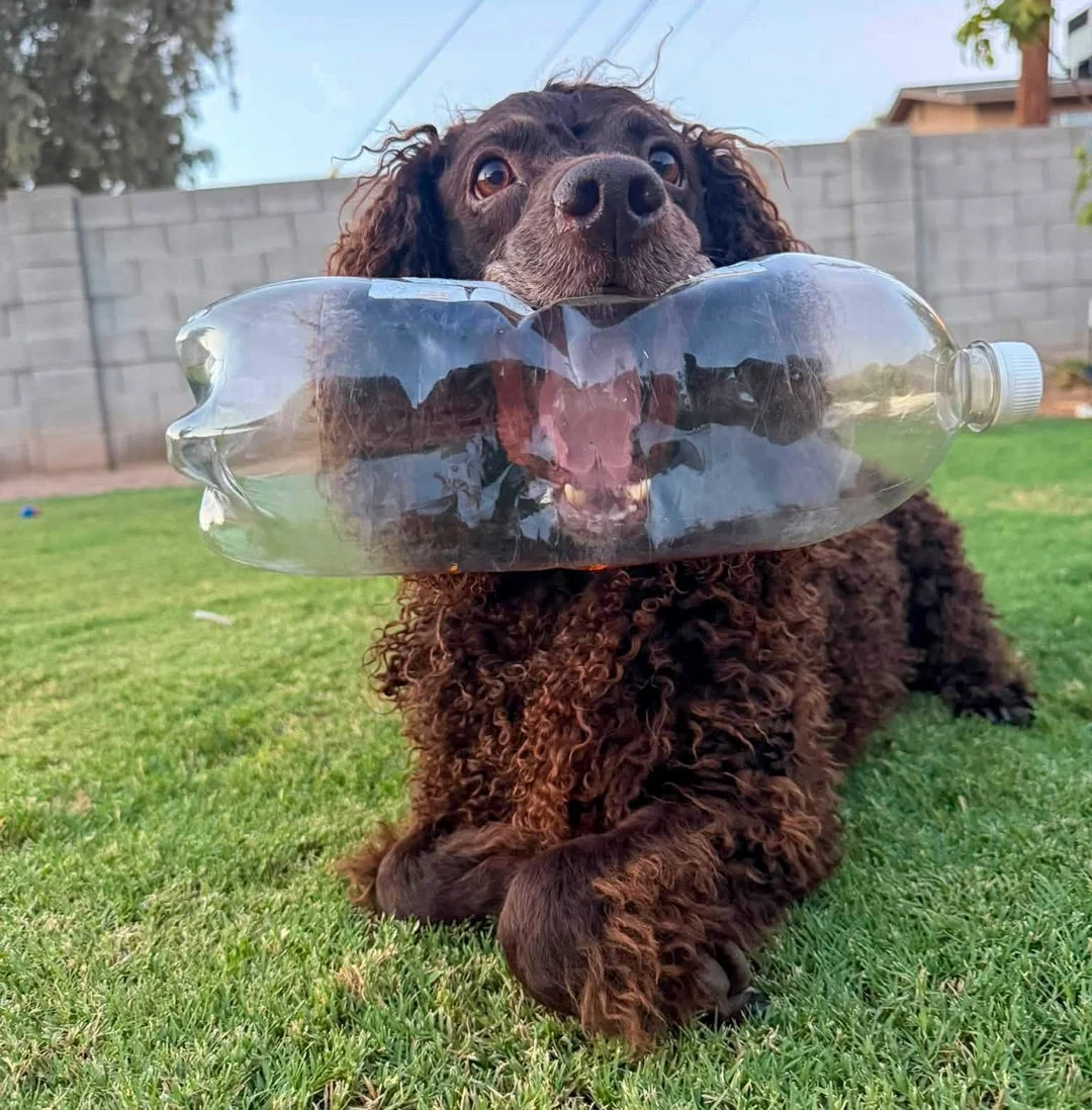 Now that's a bubble 