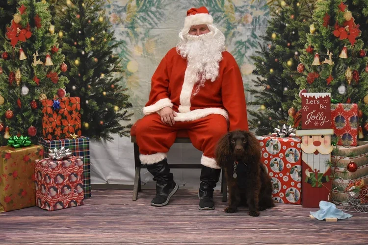 Merry Christmas! 