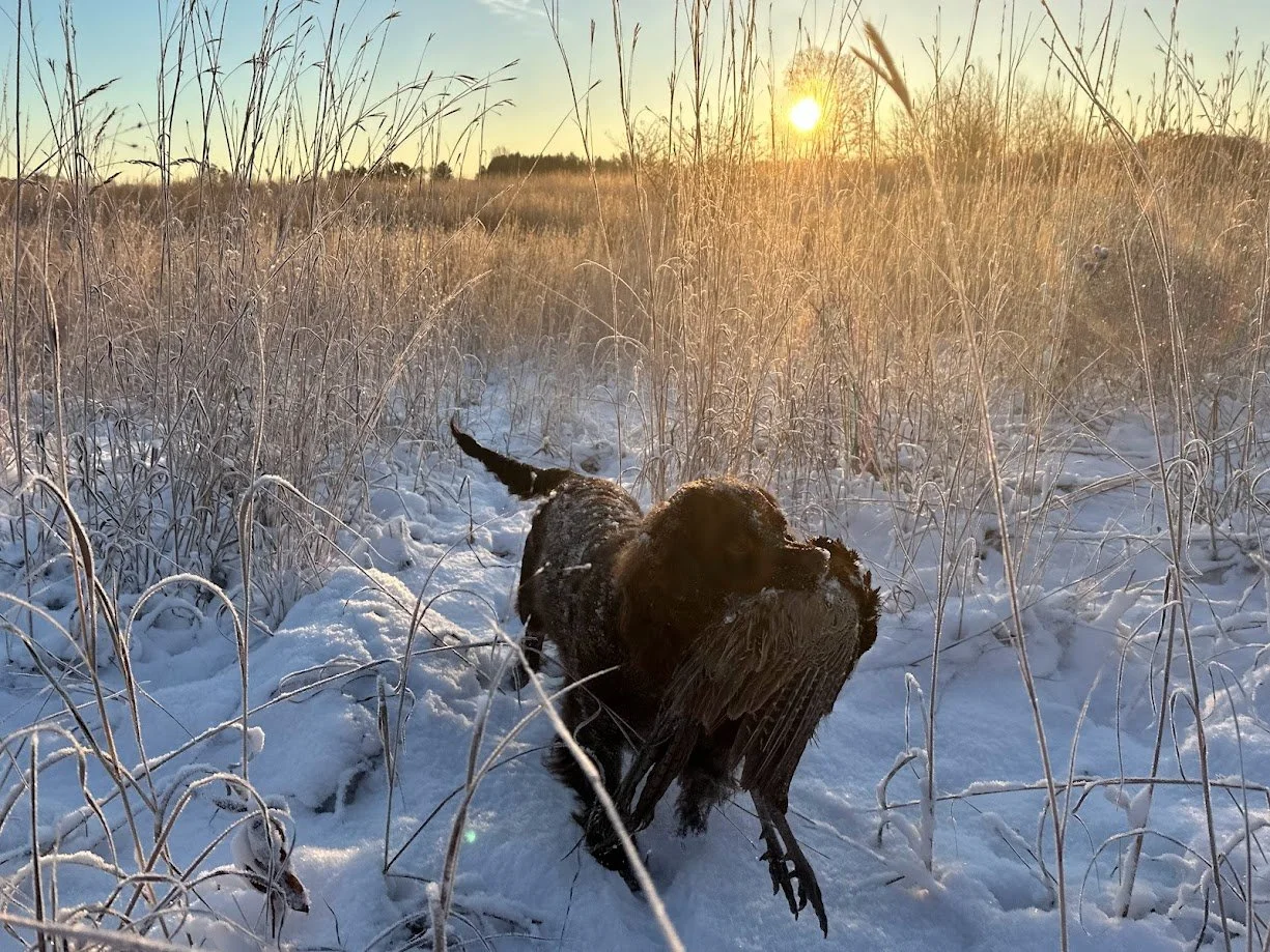 First Snow