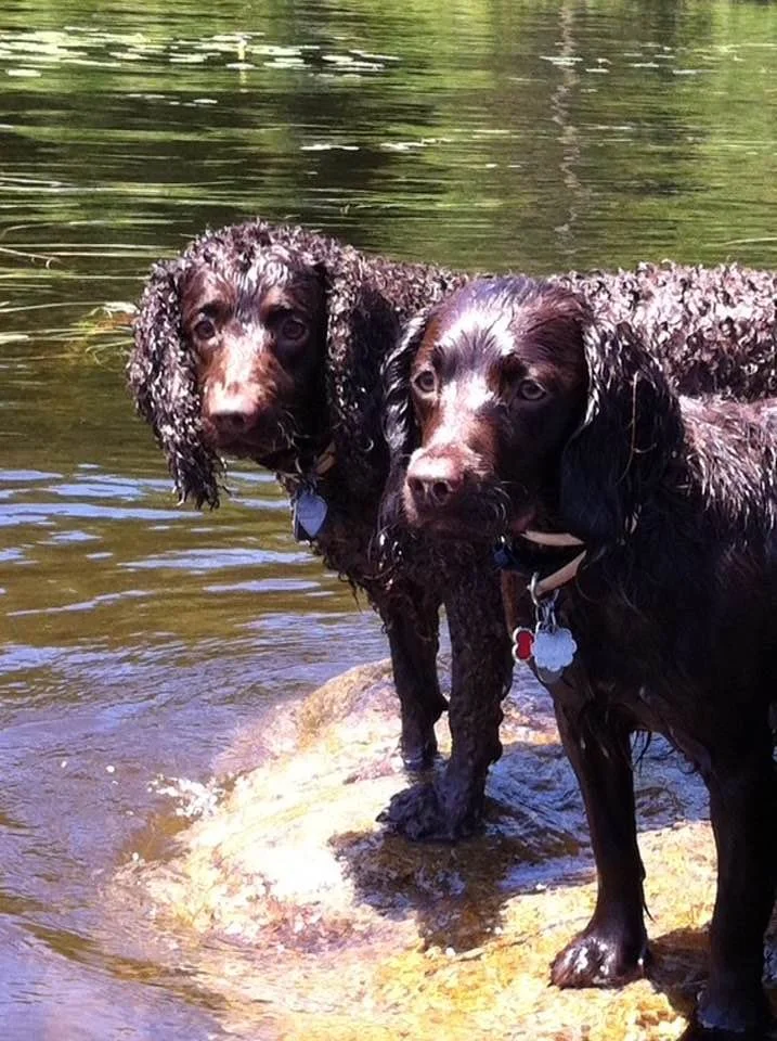 Good times come in pairs 