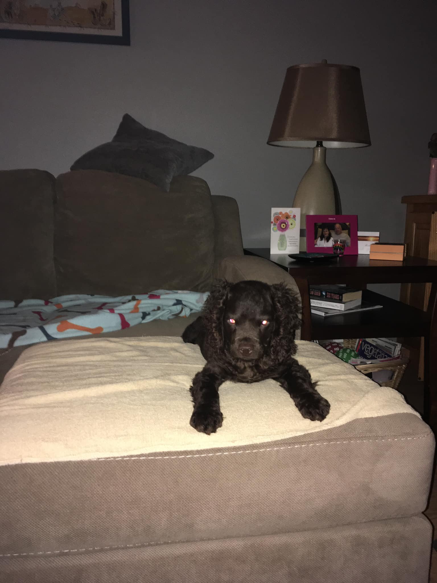Just "TRY" to move me 