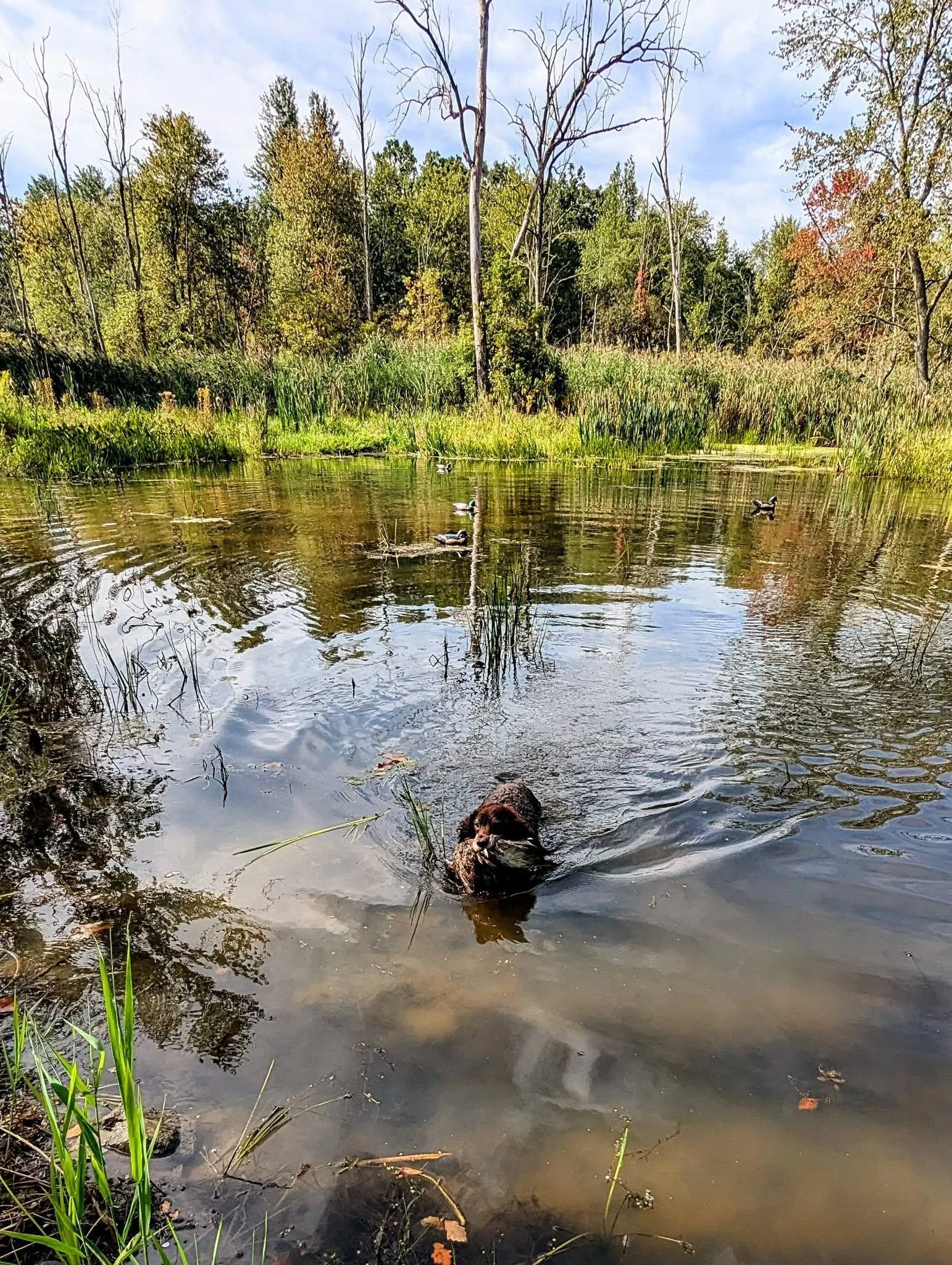 We train in the best places 