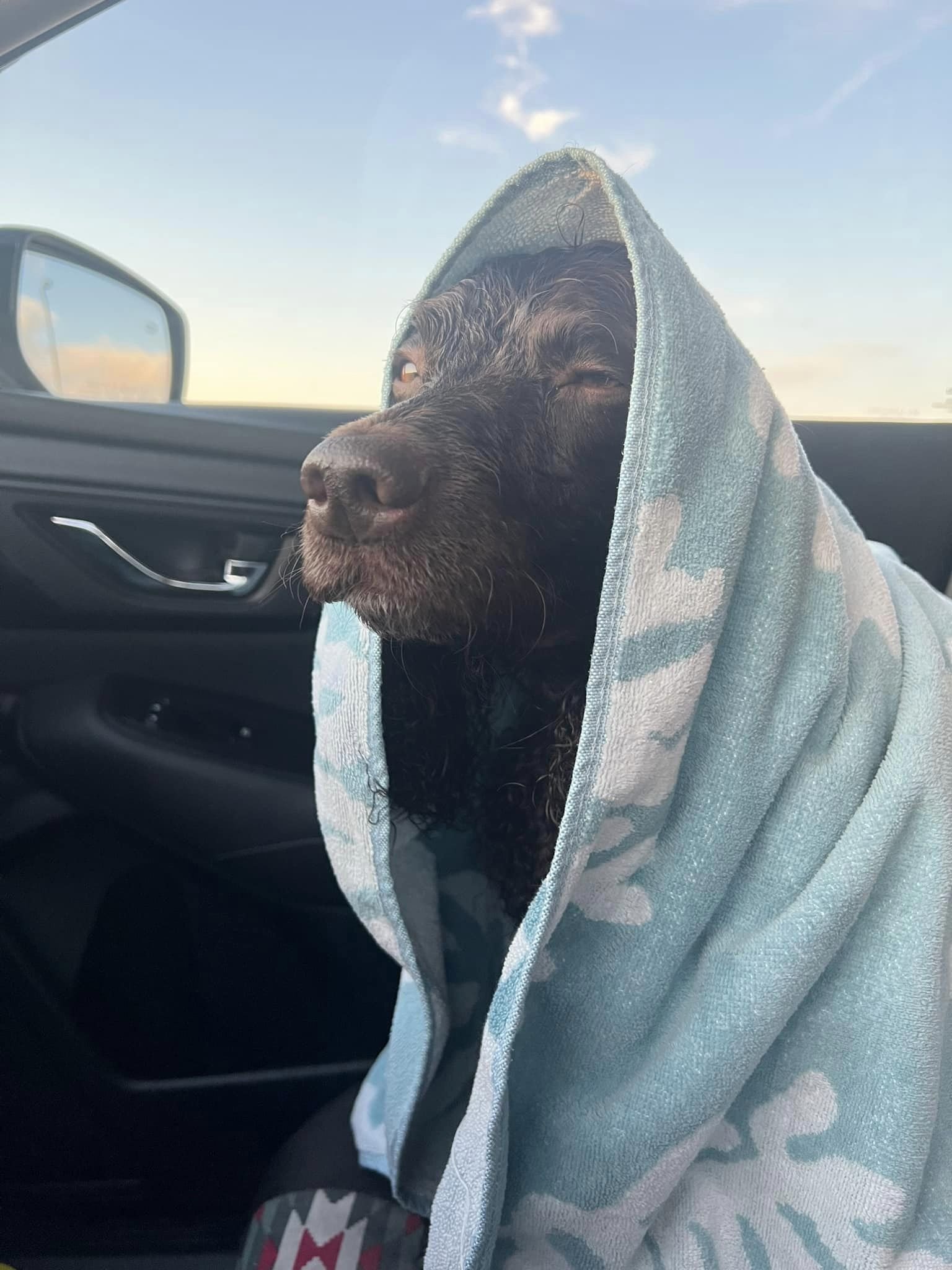 Love the feeling after a good swim 