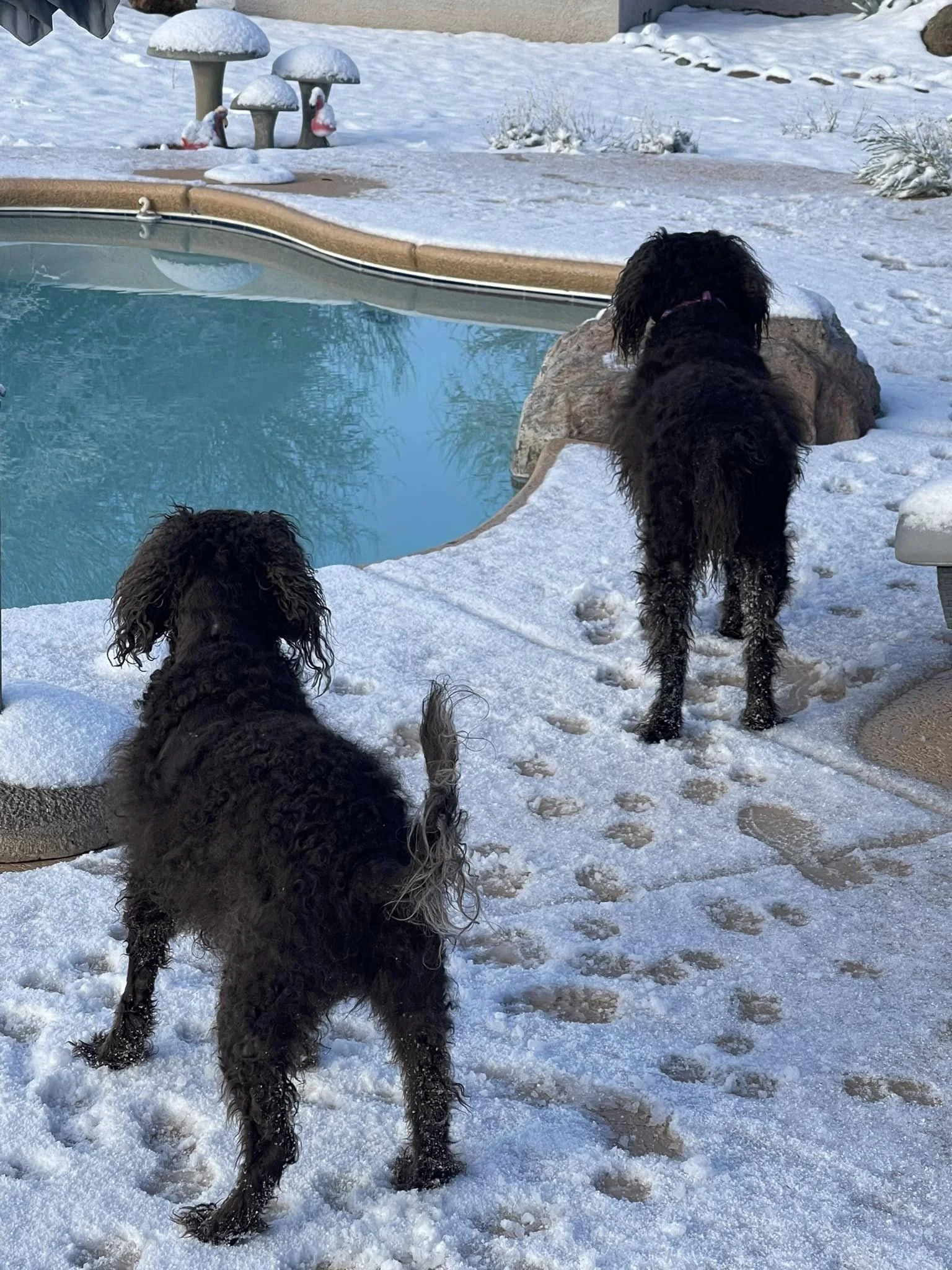Should we jump in? 