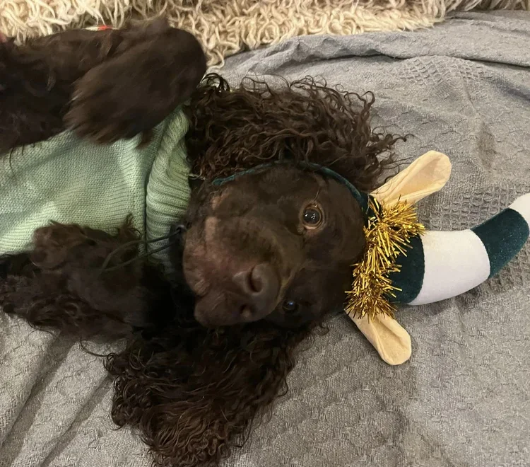 Party till you can't get up 